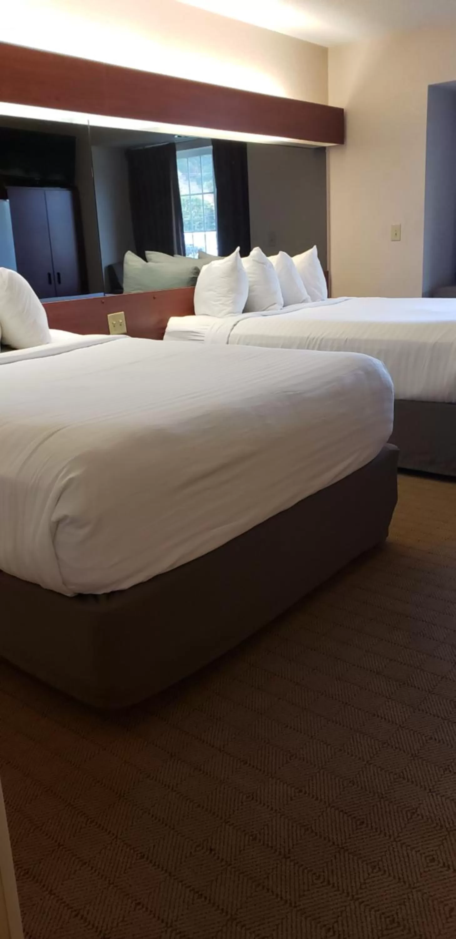 Bed in Microtel Inn & Suites by Wyndham Wellsville