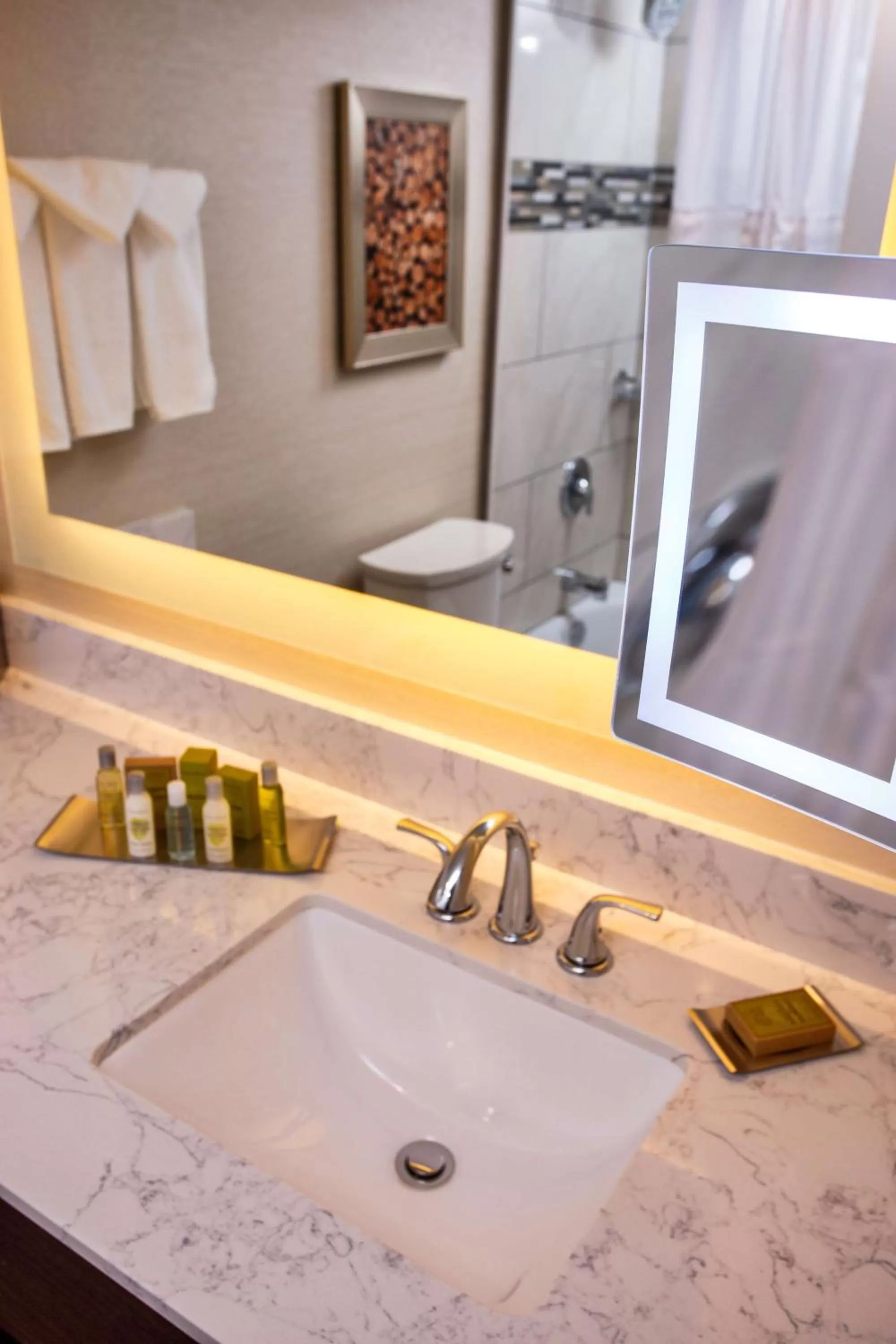 Bathroom in DoubleTree by Hilton Neenah