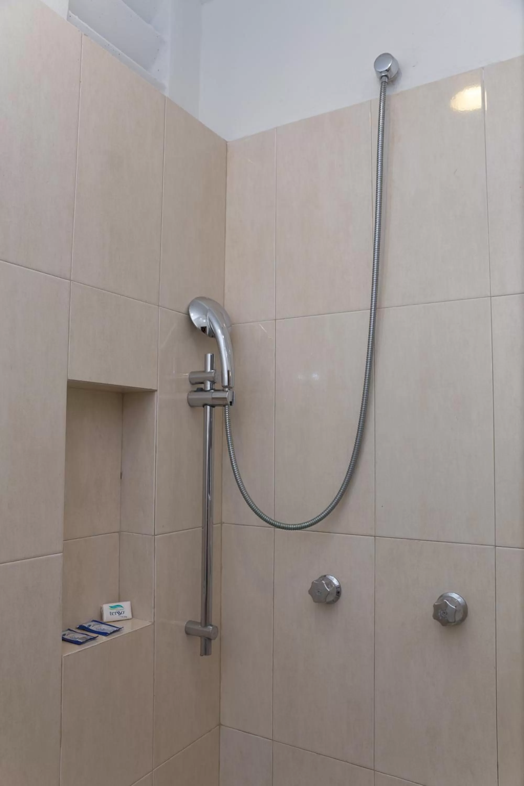 Shower in Hotel Villas Colibrí Suites & Bungalows