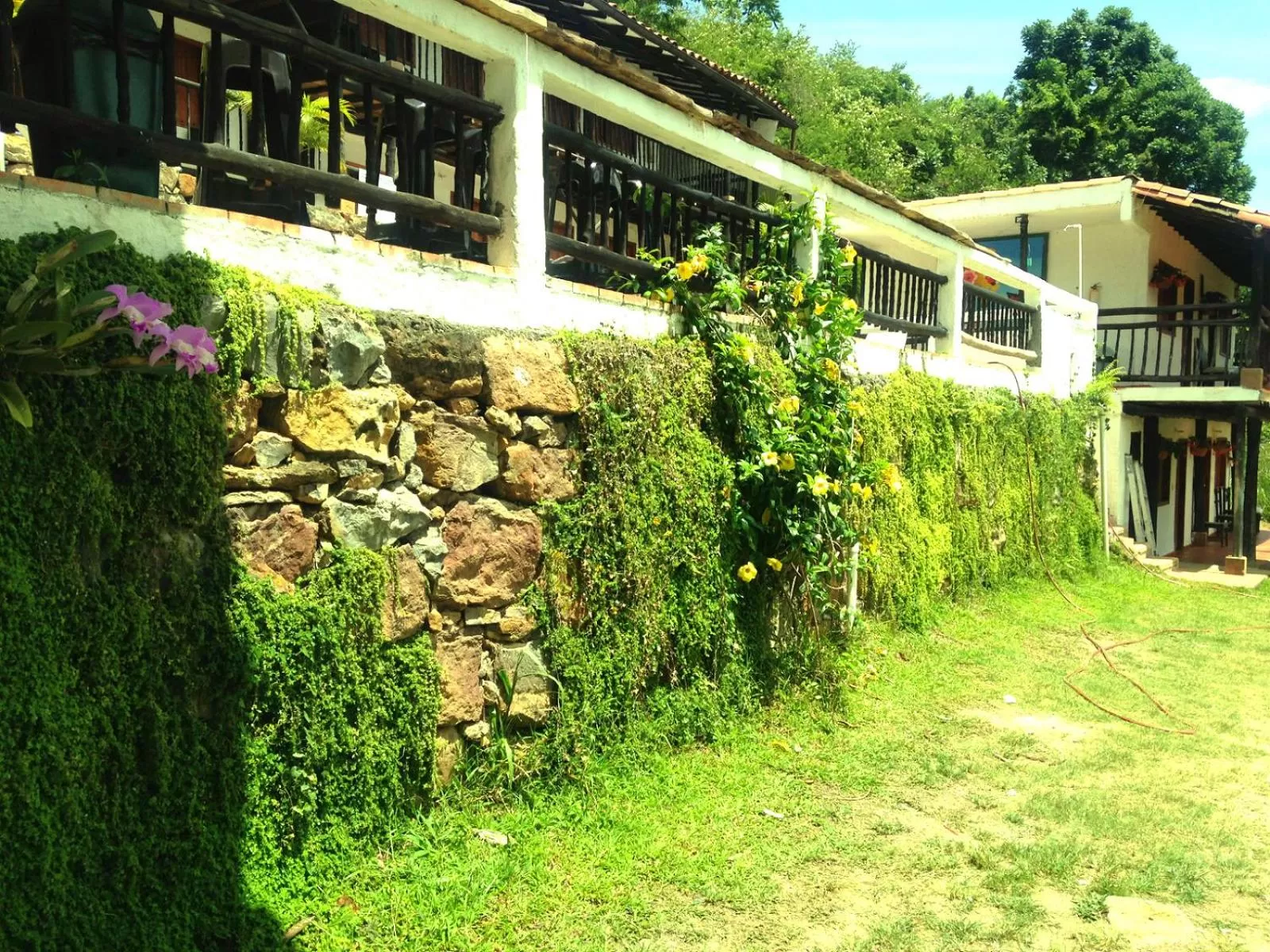 Area and facilities, Garden in Hotel Terrazas de la Candelaria