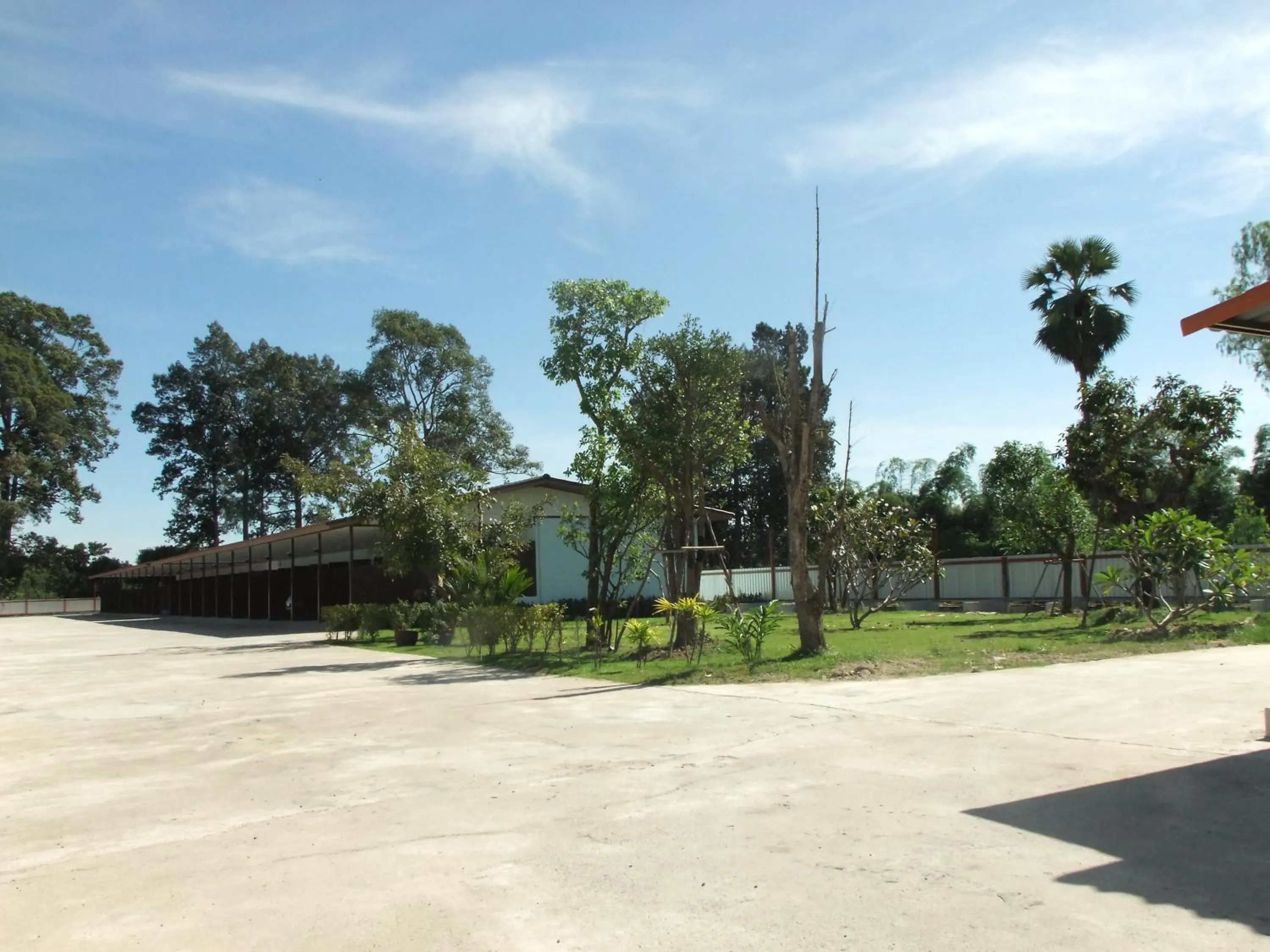 Garden in Chao Phraya Home