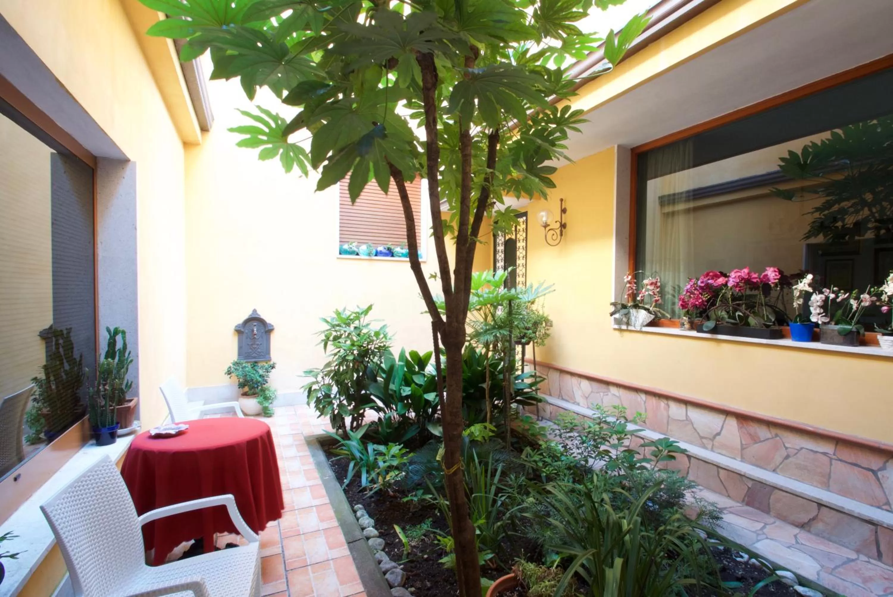 Garden view, Patio/Outdoor Area in La Magnolia B&B