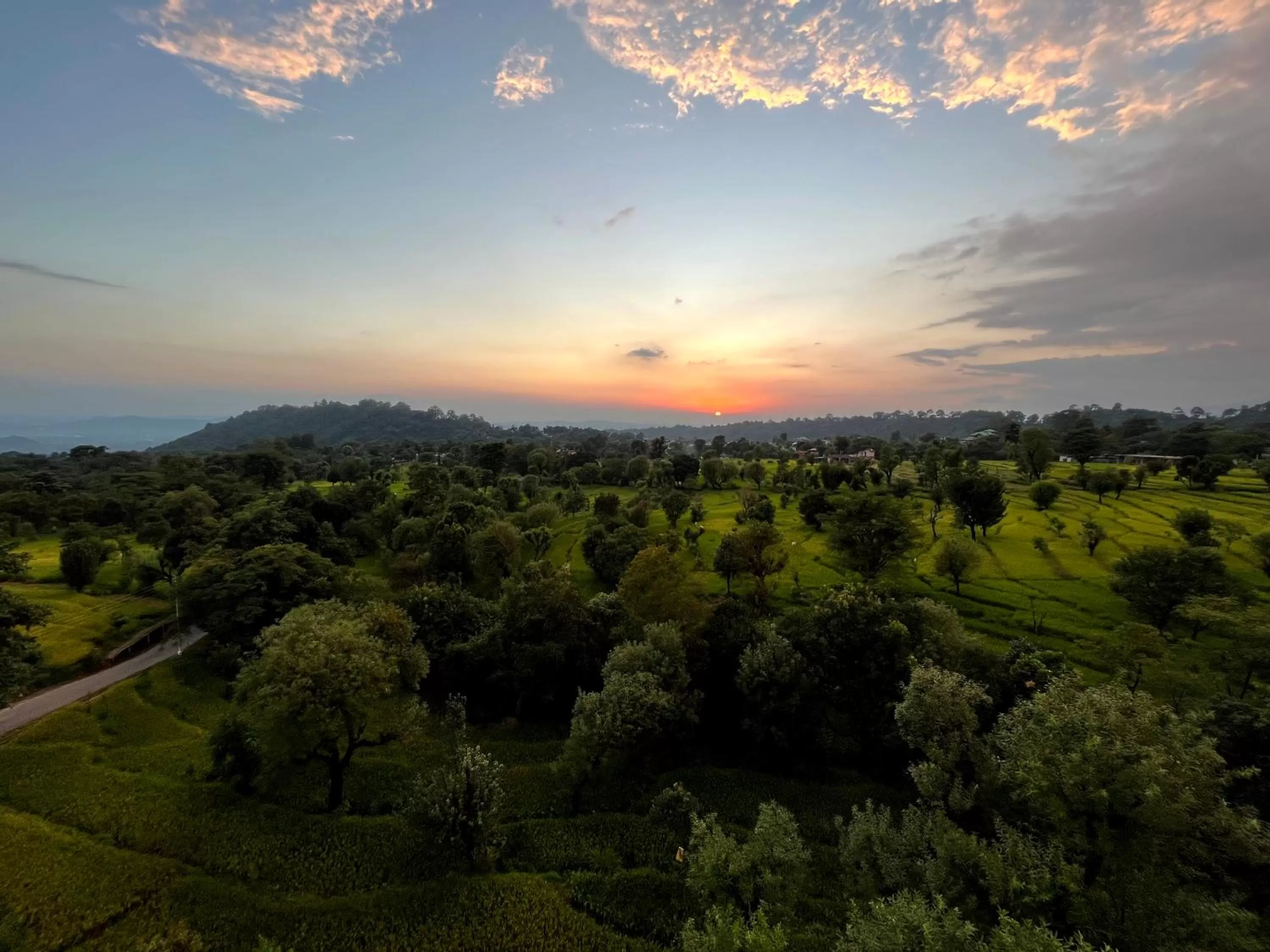 View (from property/room) in Click Collection The Abode, Dharamshala