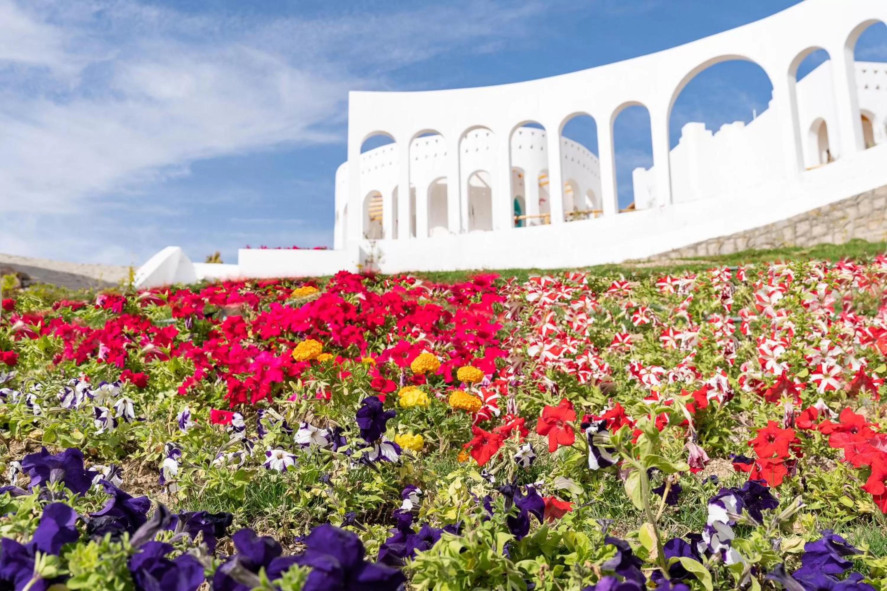 Natural landscape in Benben by Dhara Hotels - Adults Only