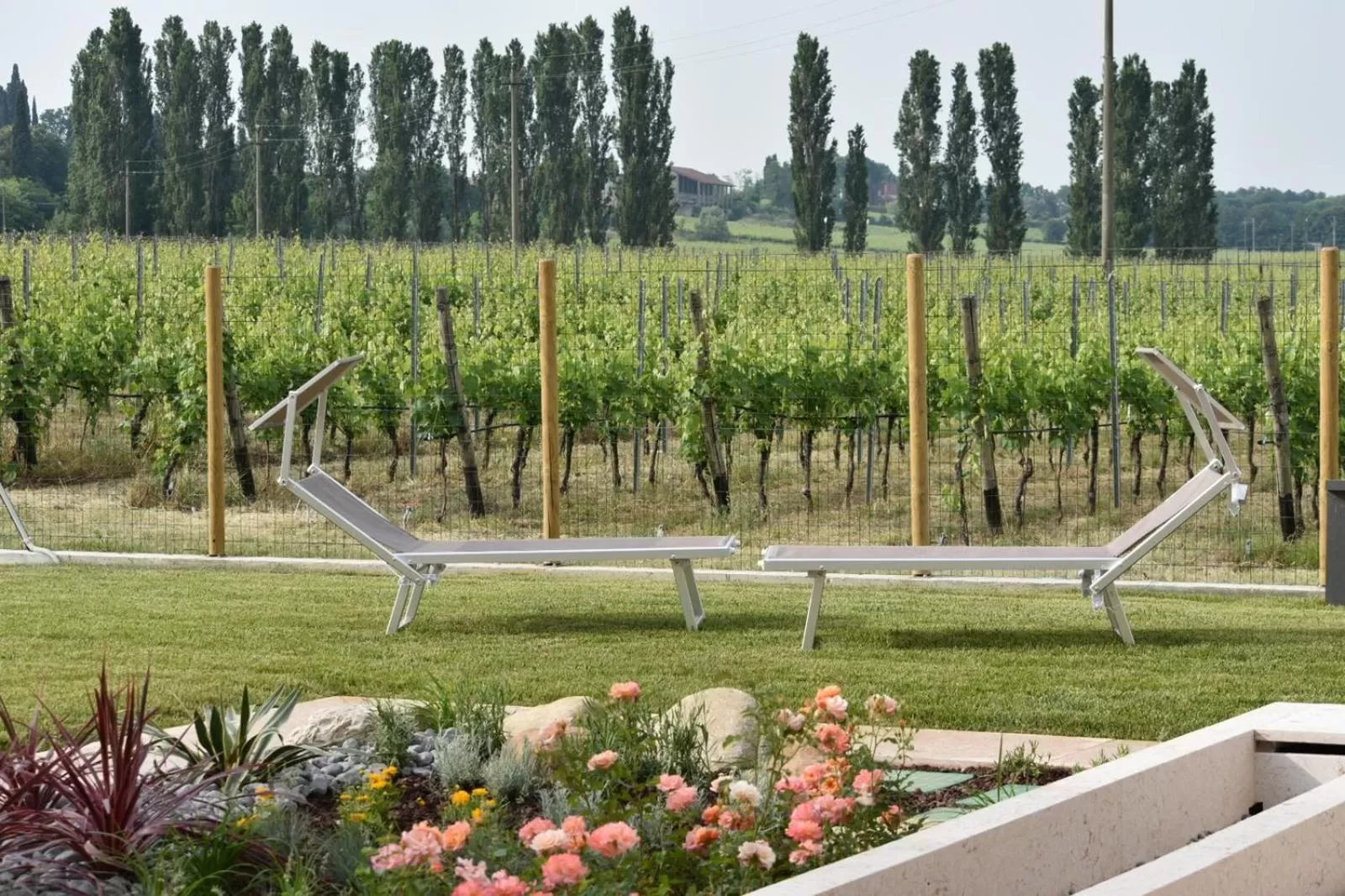 Garden in Il Vigneto