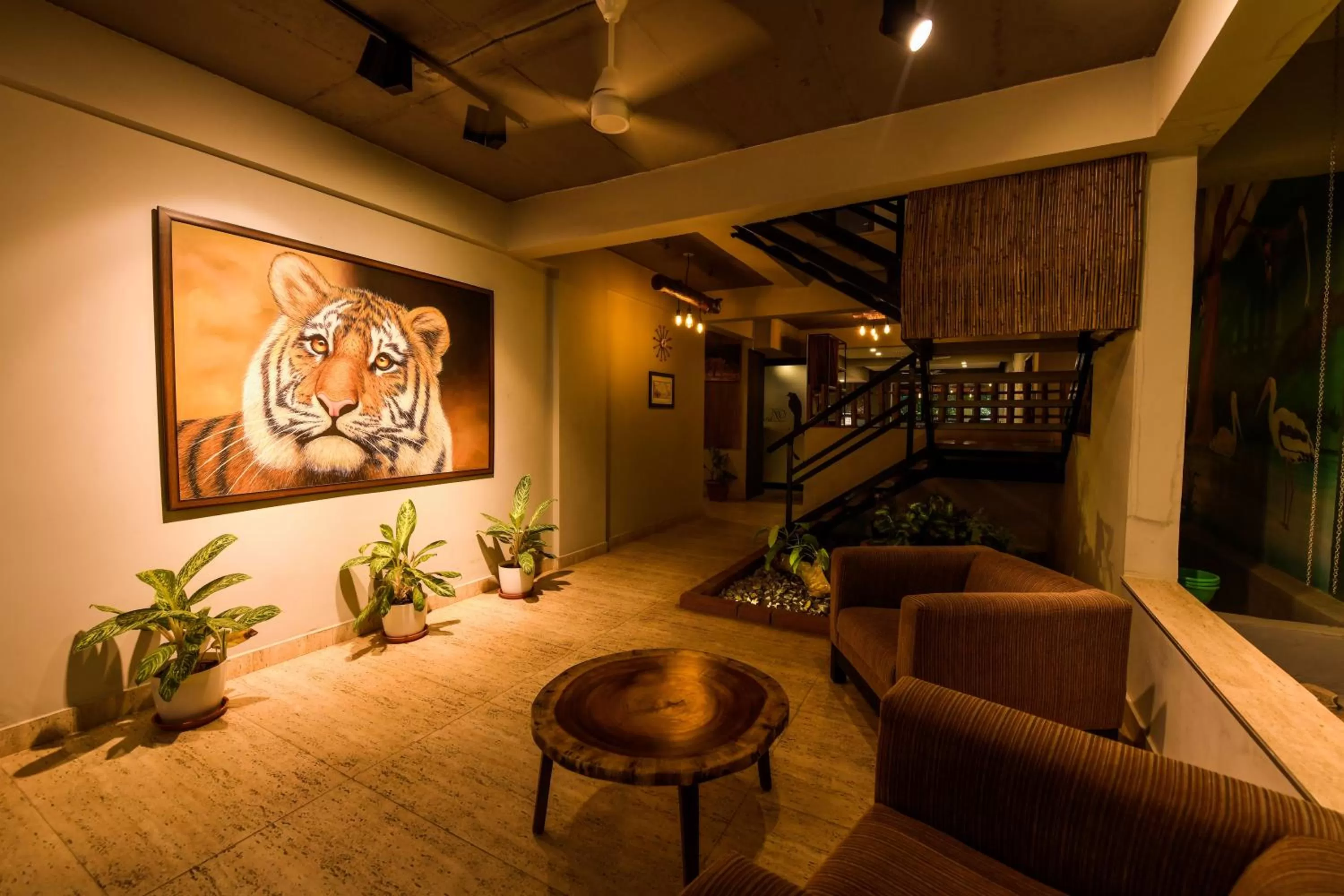 Property building in SAFARI QUEST