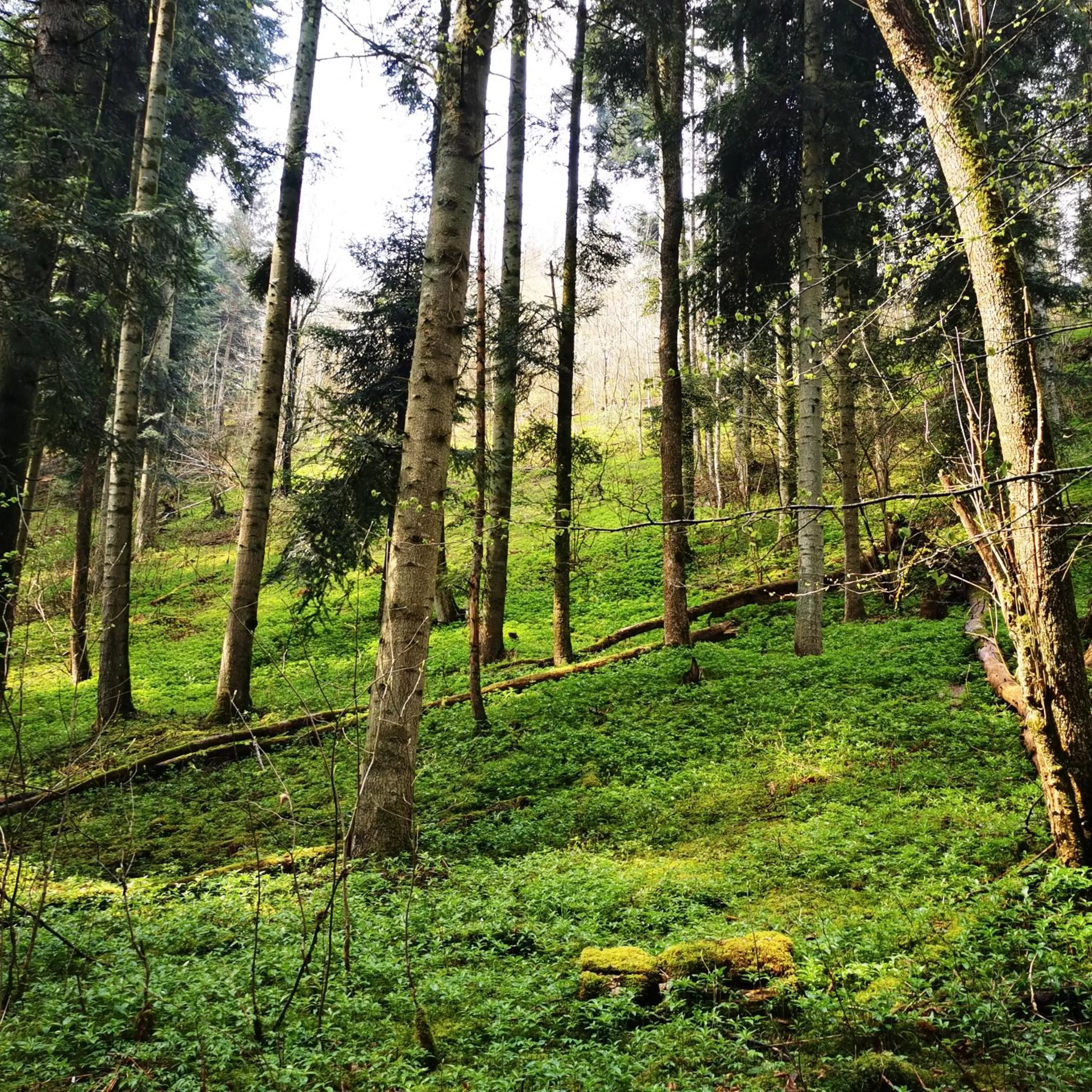 Nearby landmark in Haus Hubertus