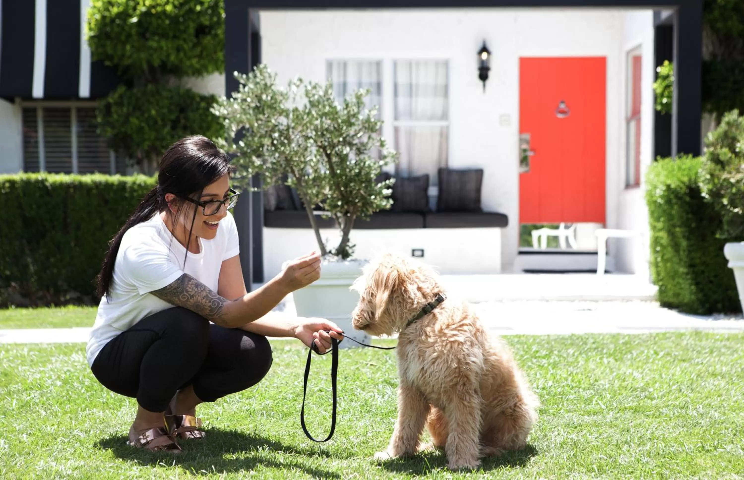 Pets in Avalon Hotel & Bungalows Palm Springs, a Member of Design Hotels