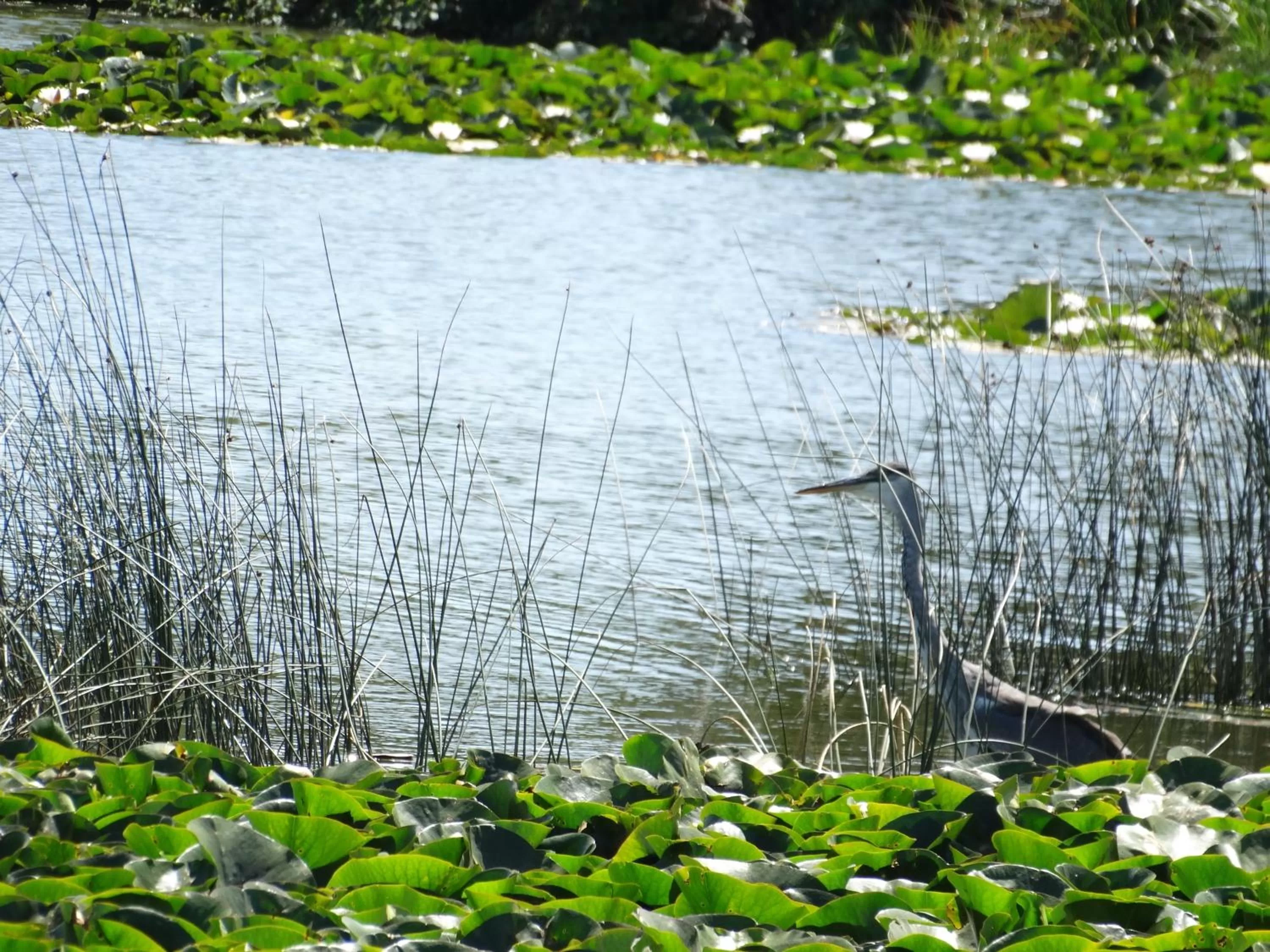 Patio in Hotel Boutique Casa Werner