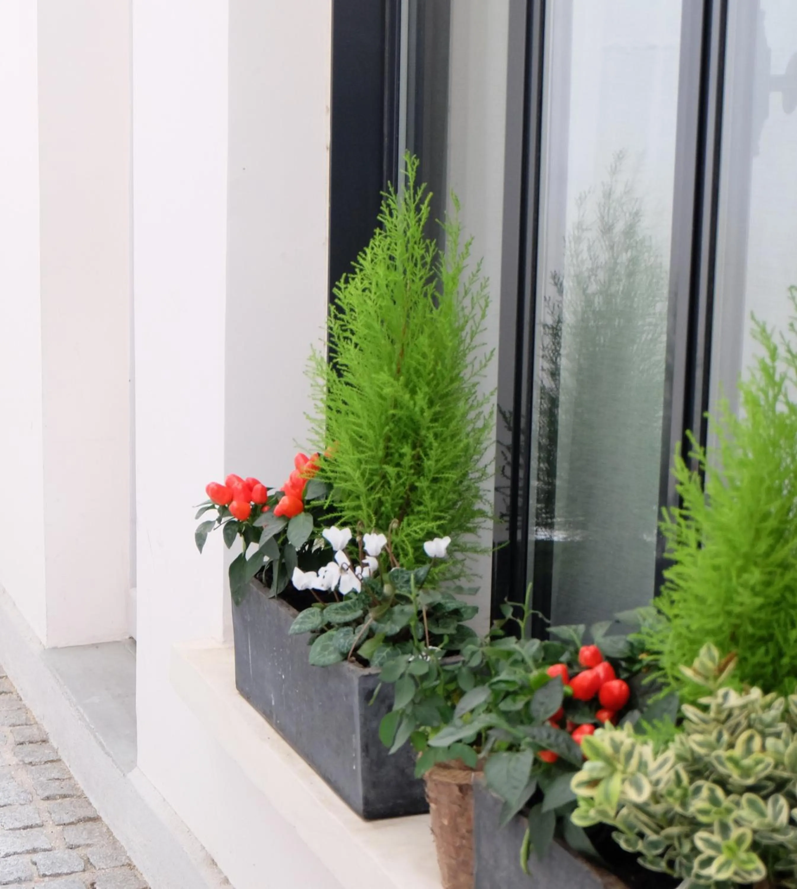 Two Rooms next to Each Other in Hotel Saint Dominique