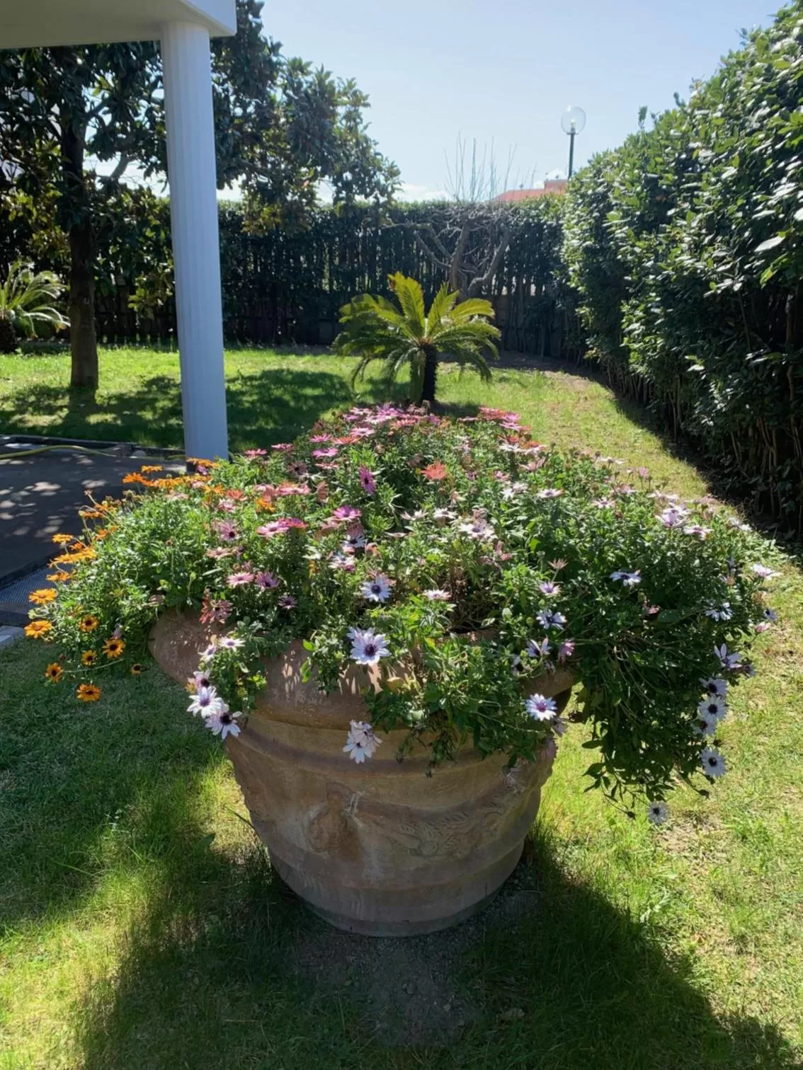 Garden in B & B Villa Fiorella