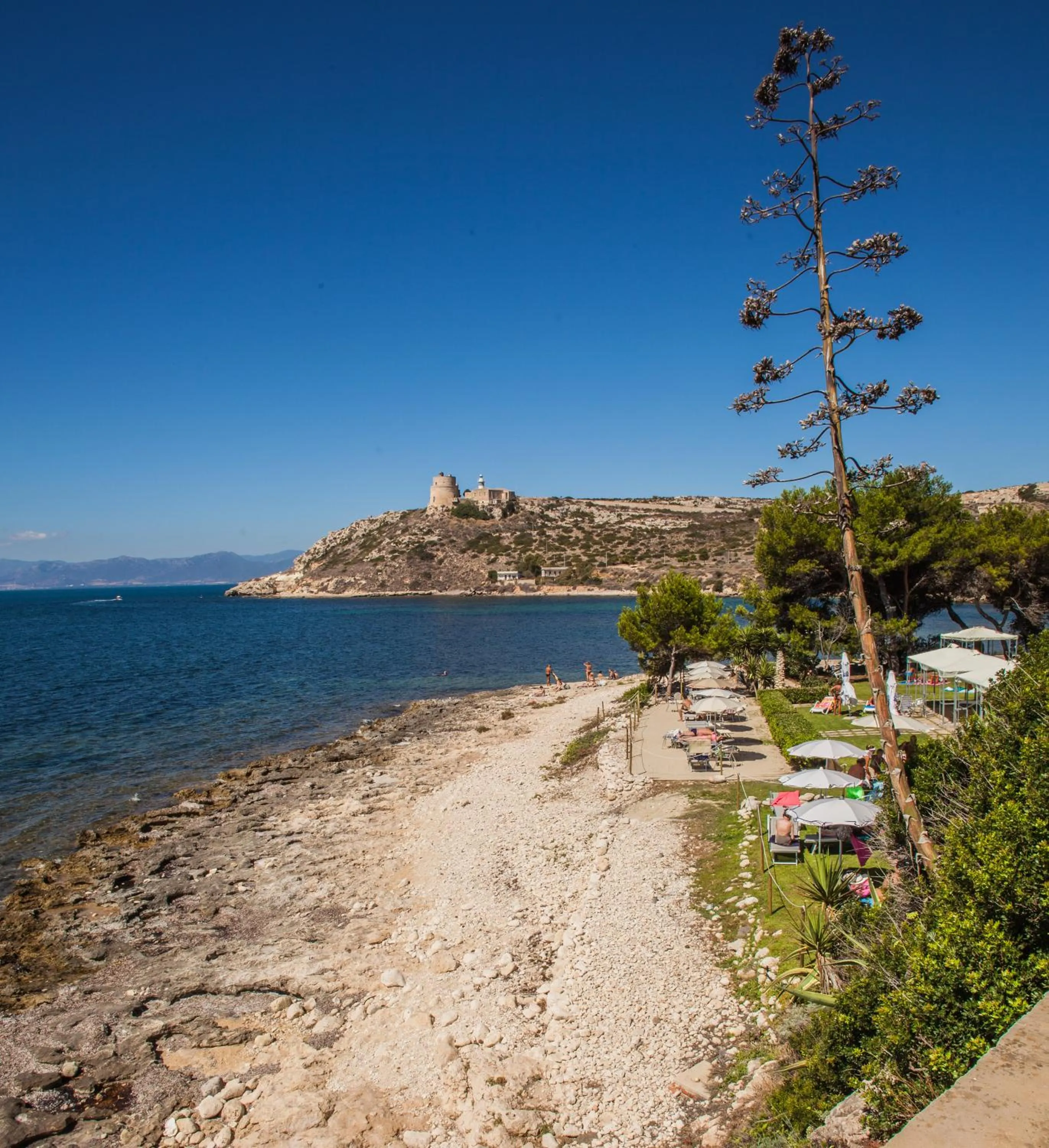 Restaurant/places to eat in Hotel Calamosca