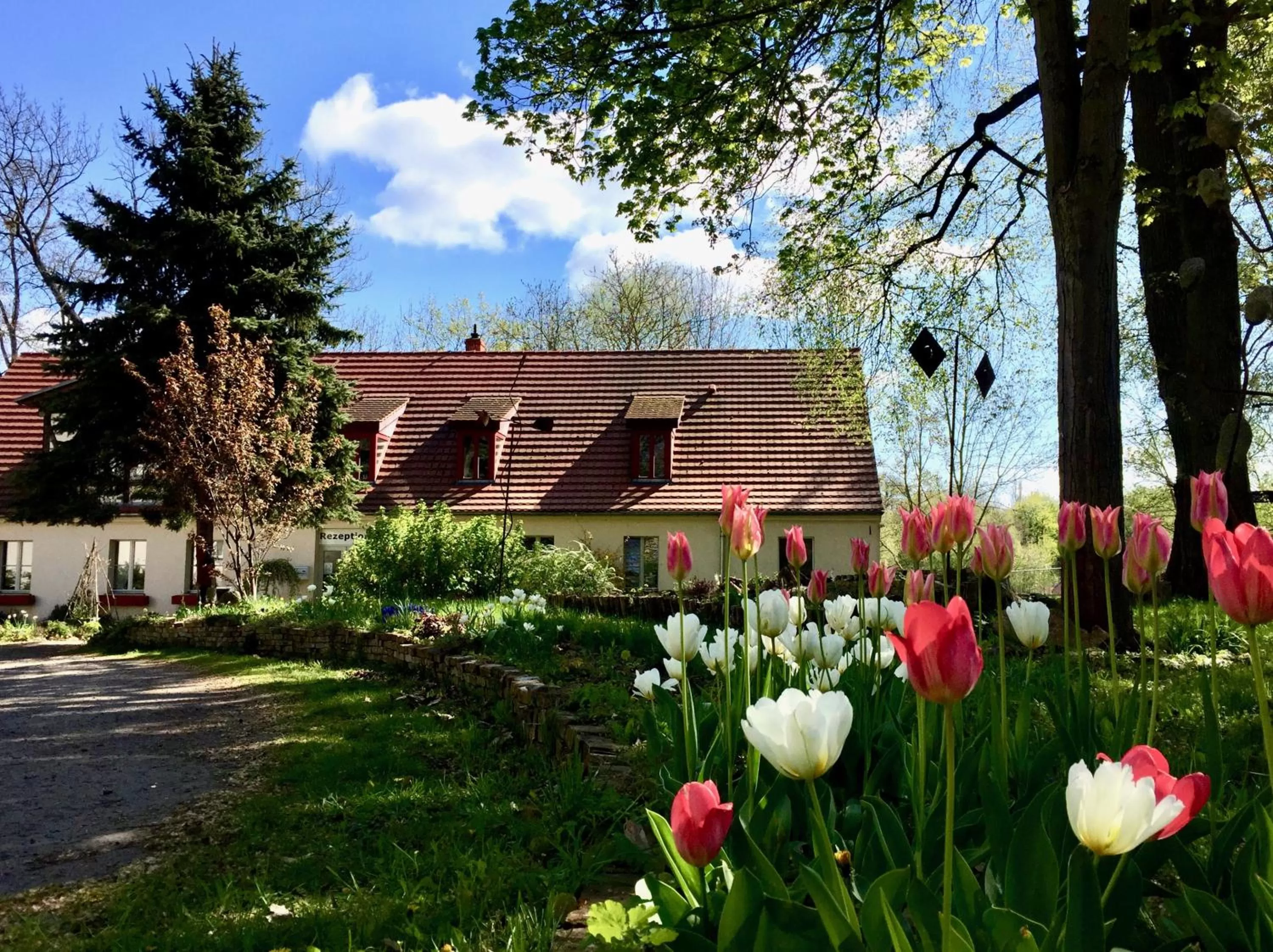 Garden in Gästehaus Schloss Plaue