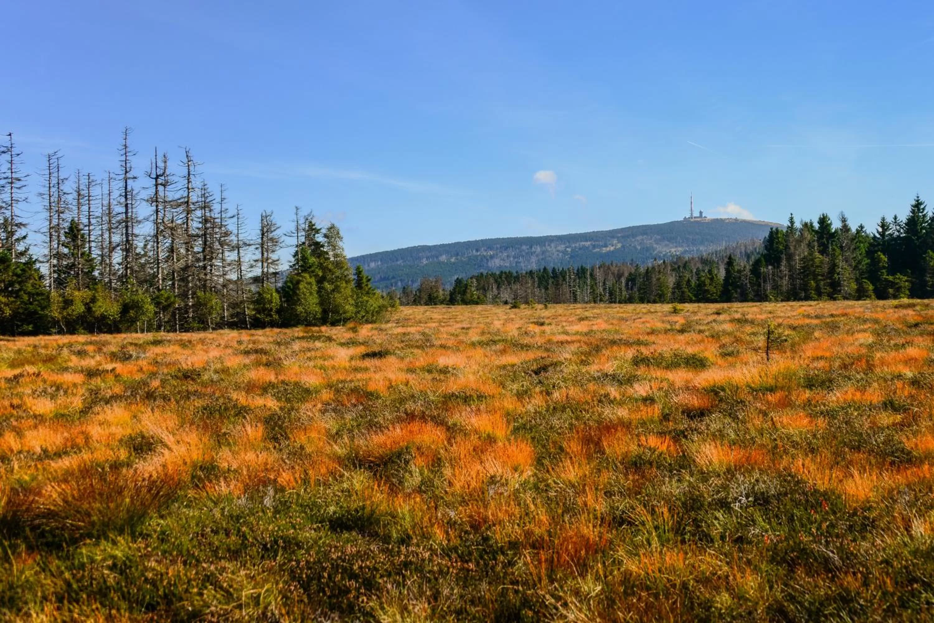 Natural landscape in Hotel Zum Harzer