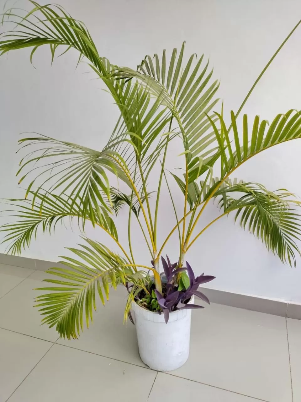 Decorative detail in 6 Park Retreat