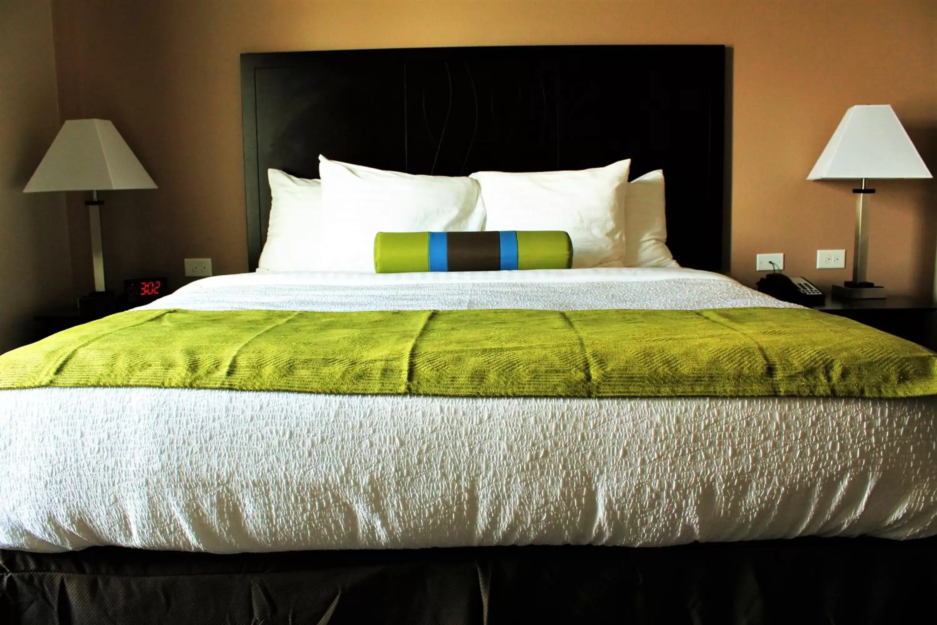 King Suite with Kitchenette - Disability Access in Best Western Plus Denver City Hotel & Suites King Suite with Kitchenette - Disability Access in Best Western Plus Denver City Hotel & Suites