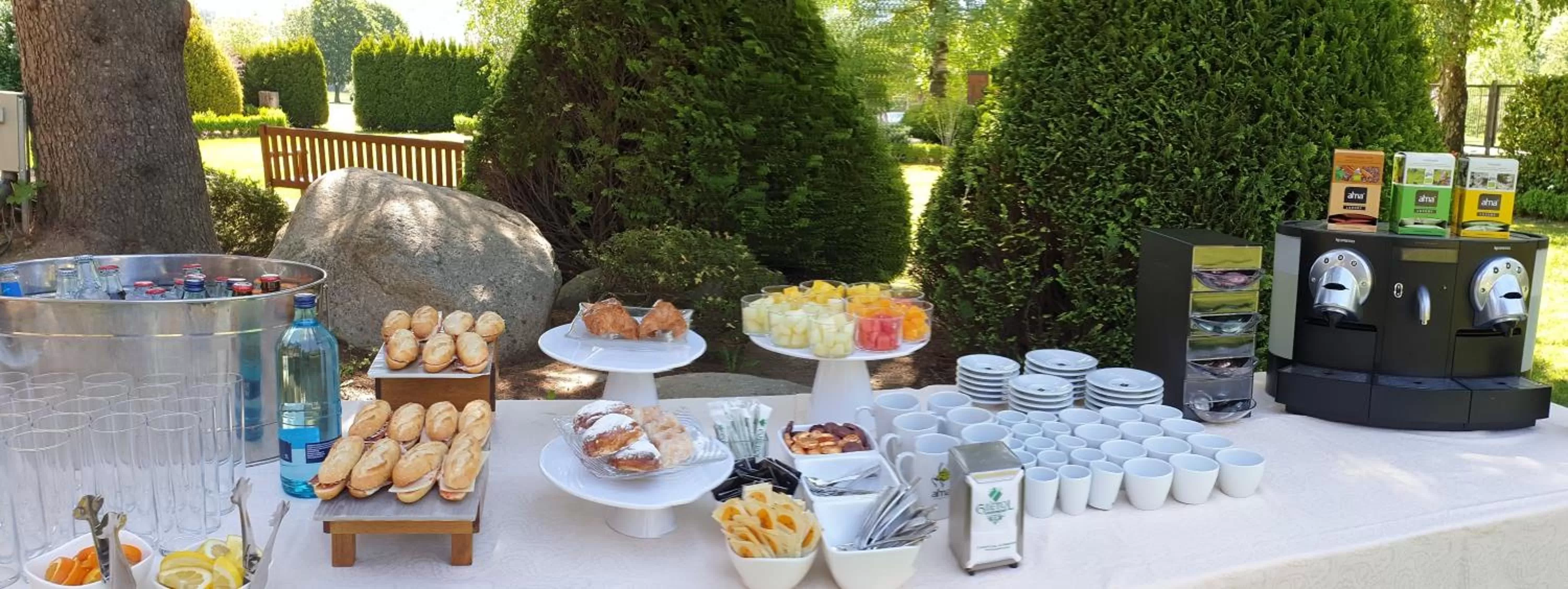 Activities in Hotel Grèvol Spa