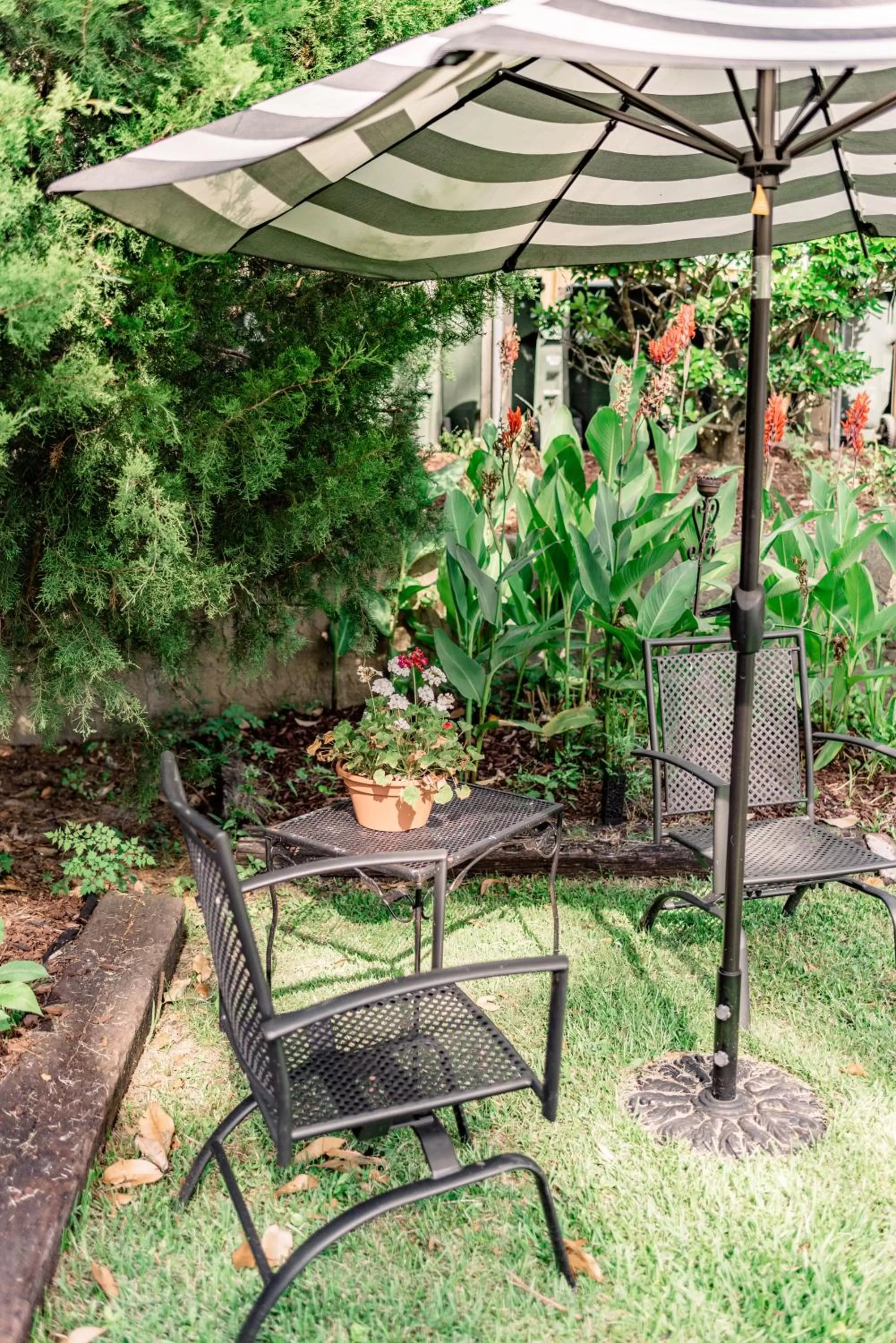 Property building in Meadows Inn