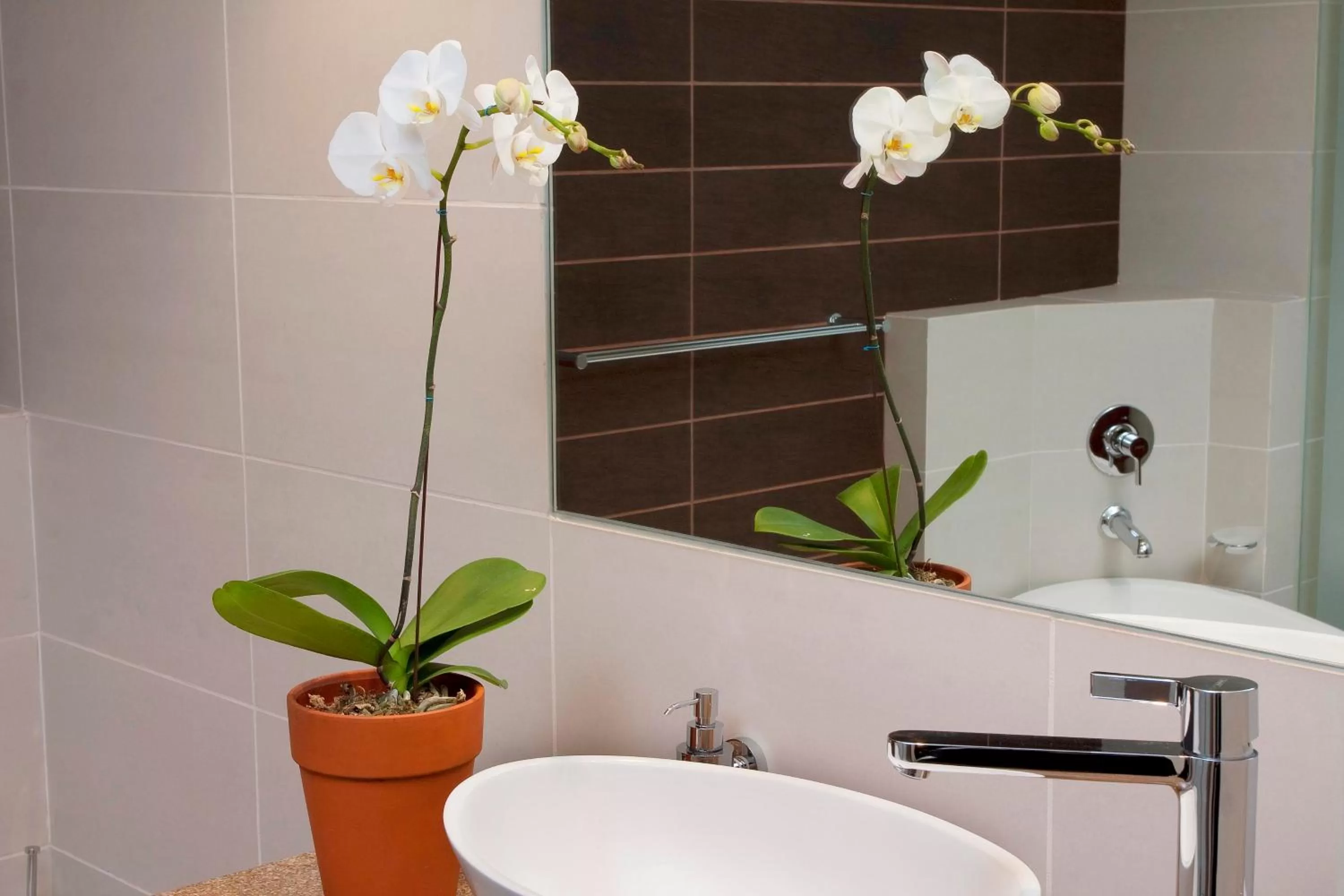 Bathroom in Apollo Hotel