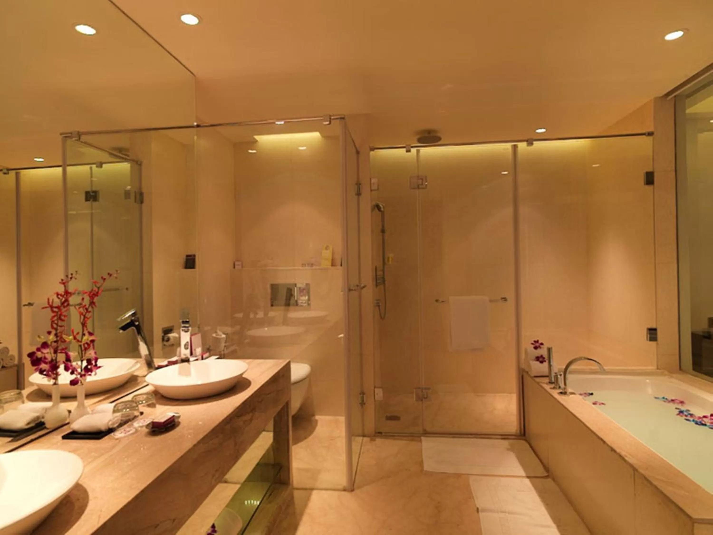 Shower in Hotel Royal Orchid Jaipur, Tonk Road