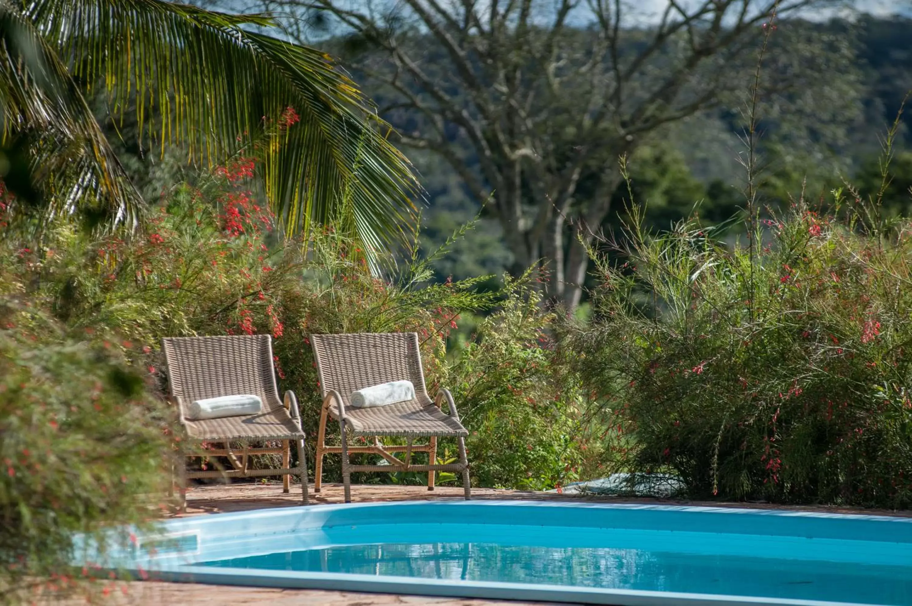 Pousada do Parque Pousada do Parque