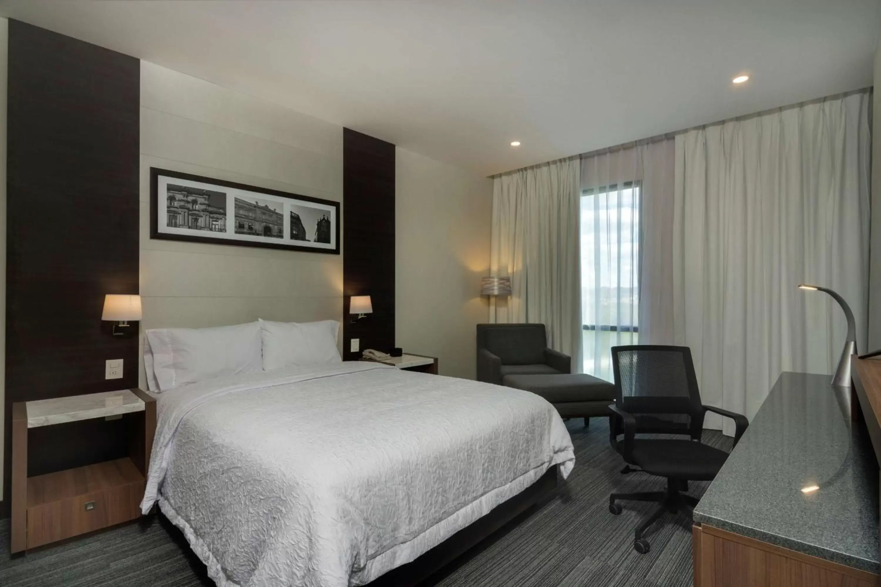 Queen Room with Lake View in Hampton Inn By Hilton San Luis Potosi Queen Room with Lake View in Hampton Inn By Hilton San Luis Potosi