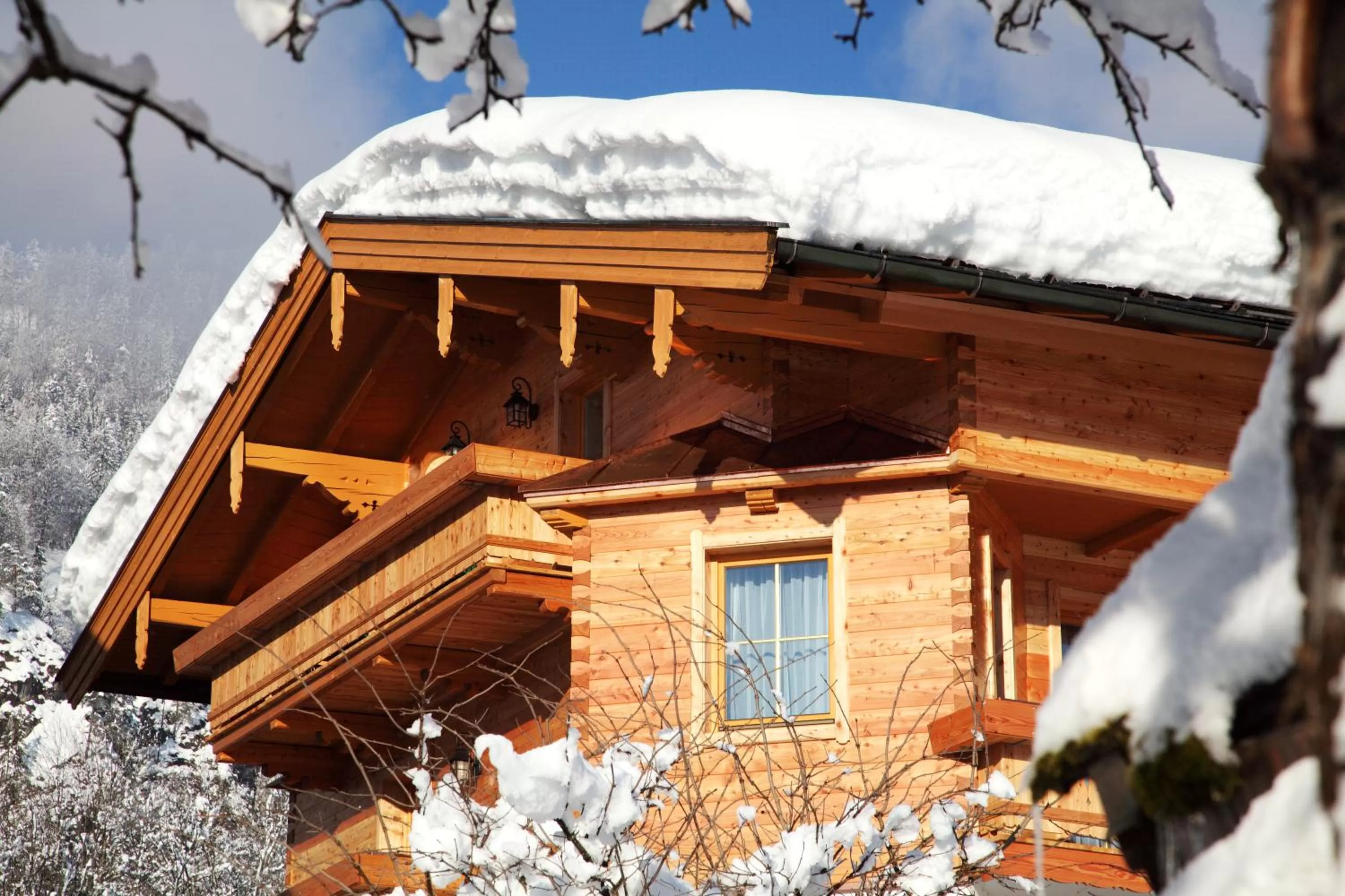 View (from property/room), Winter in Theresenhof
