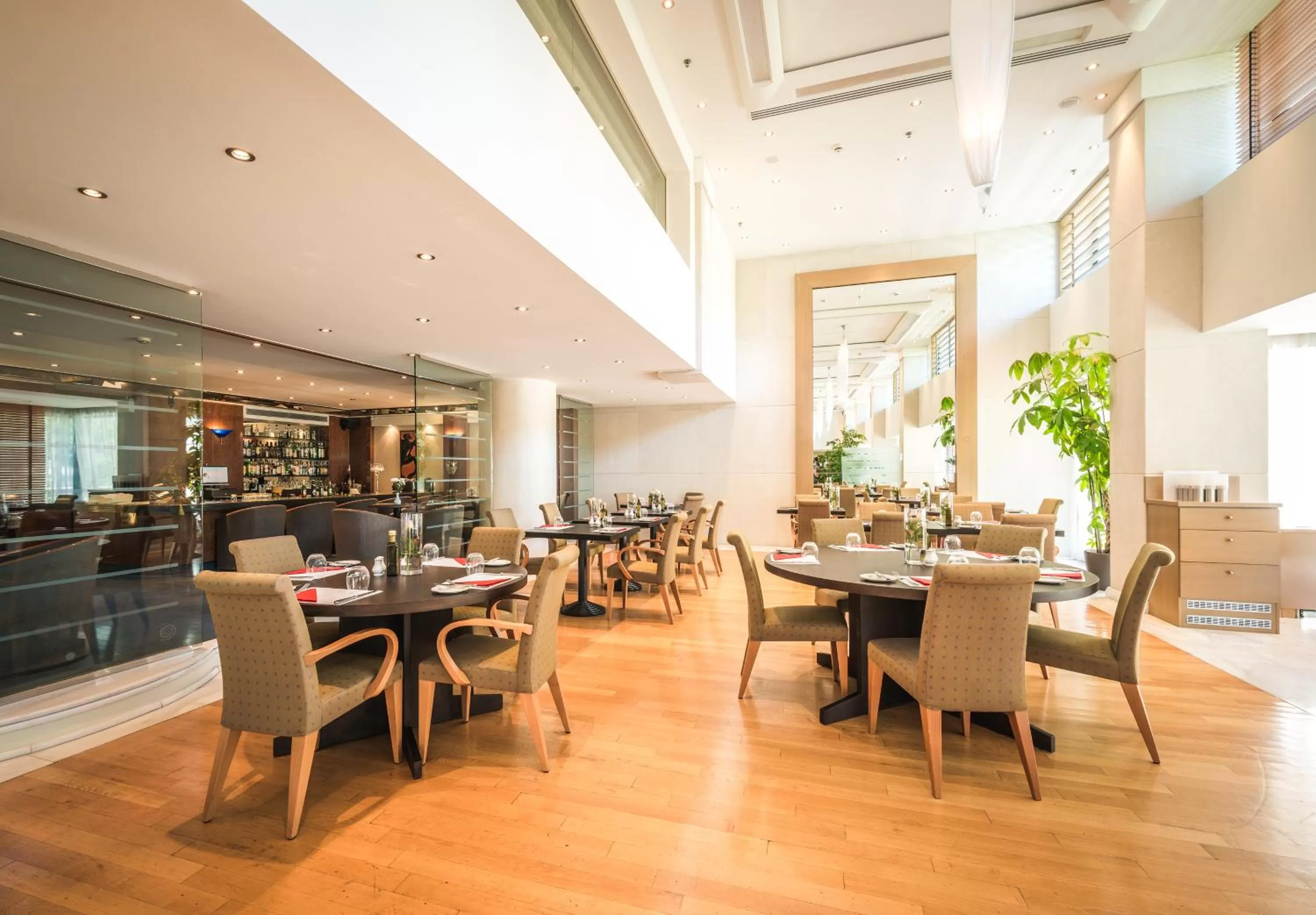 Restaurant/places to eat in Golden Age Athens Hotel