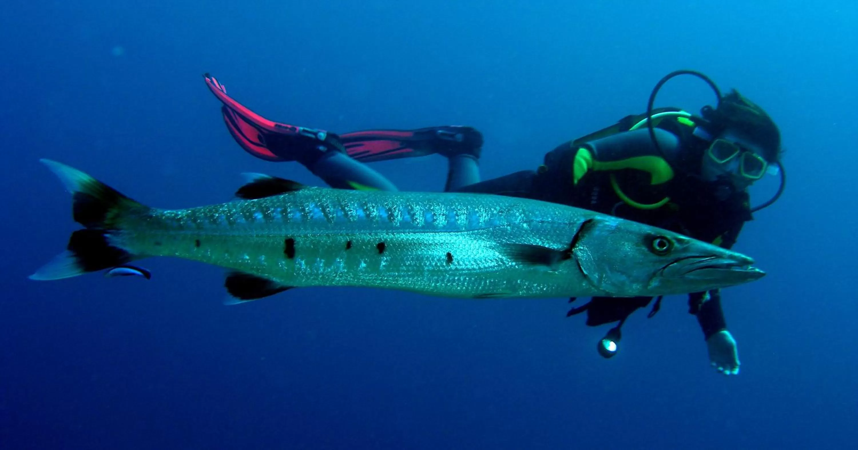 Snorkeling in Coral Sun Beach