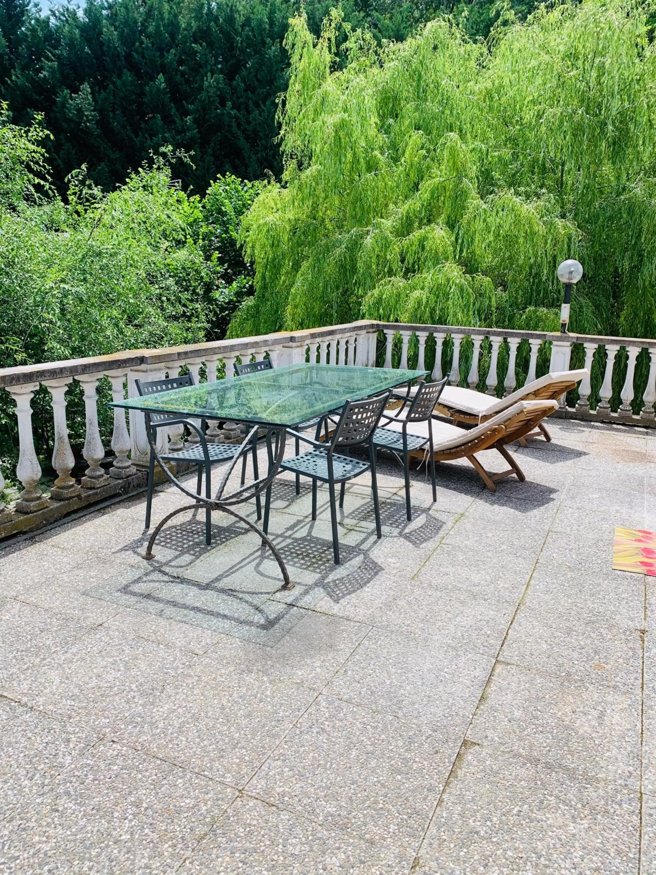 Rossella alla Villarella dei Tulipani