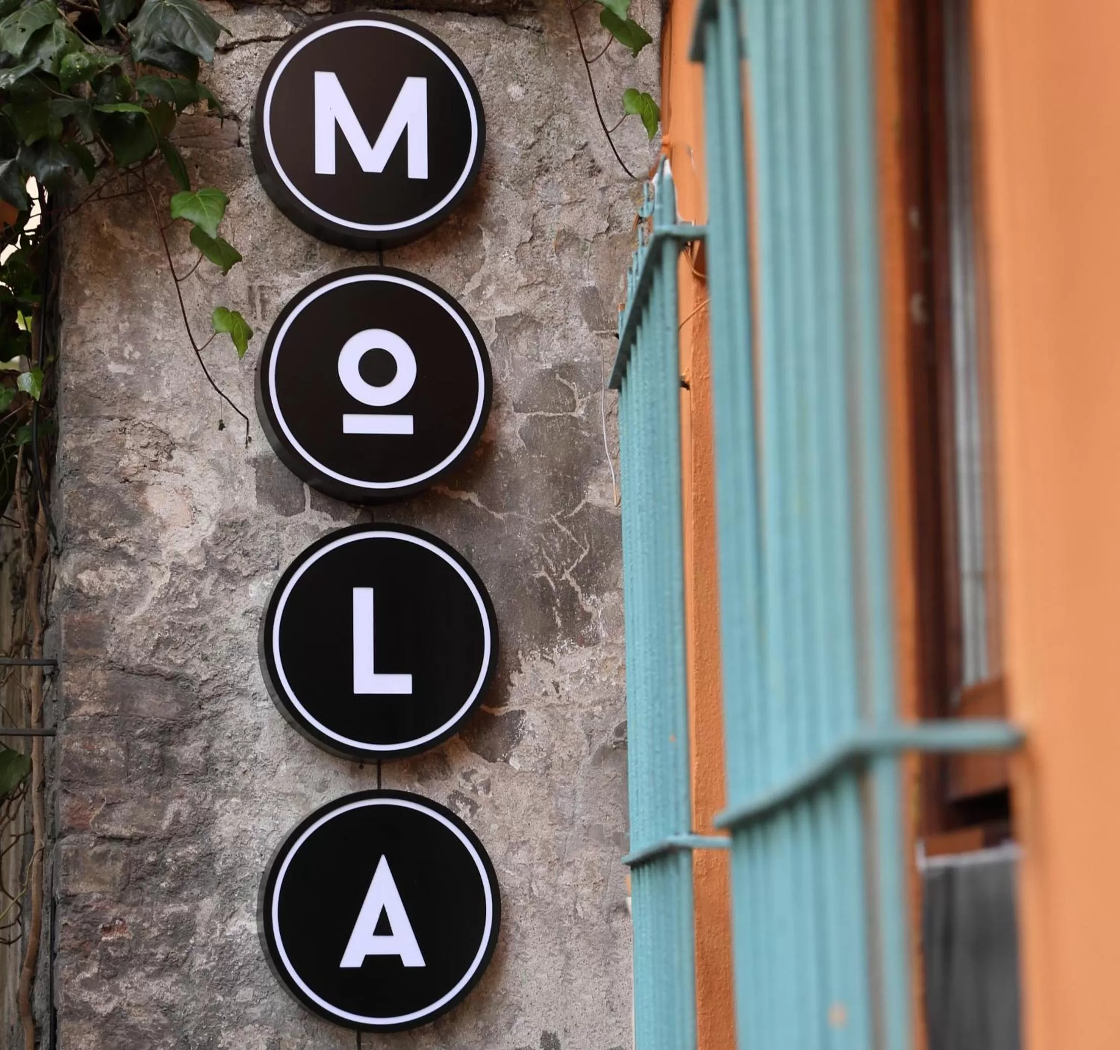 Logo/Certificate/Sign in House MOLA Galata
