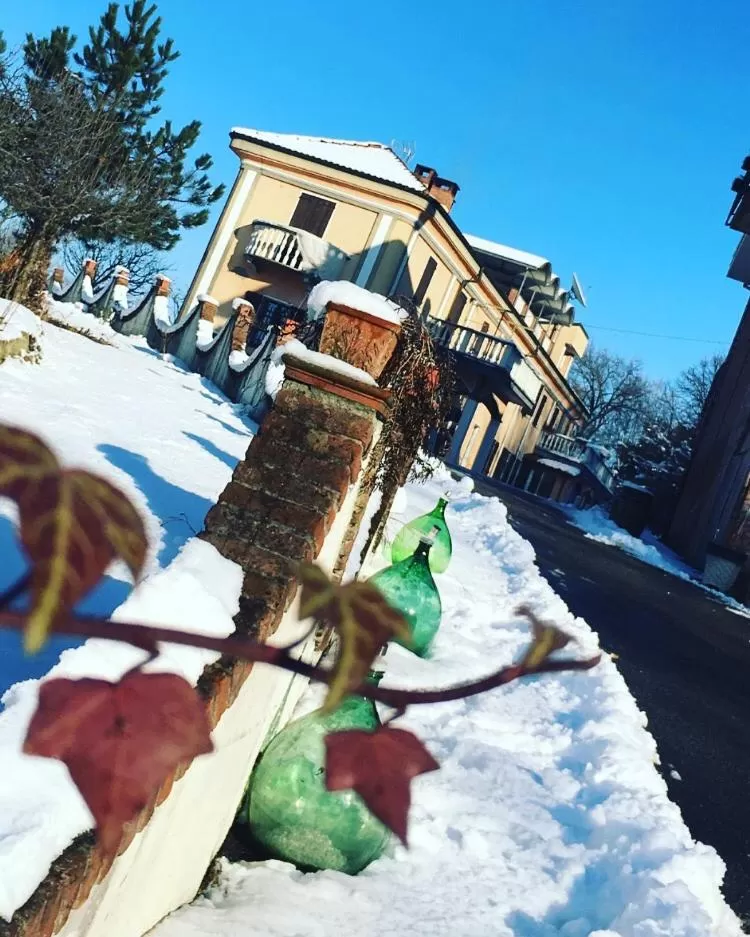 Rossella alla Villarella dei Tulipani