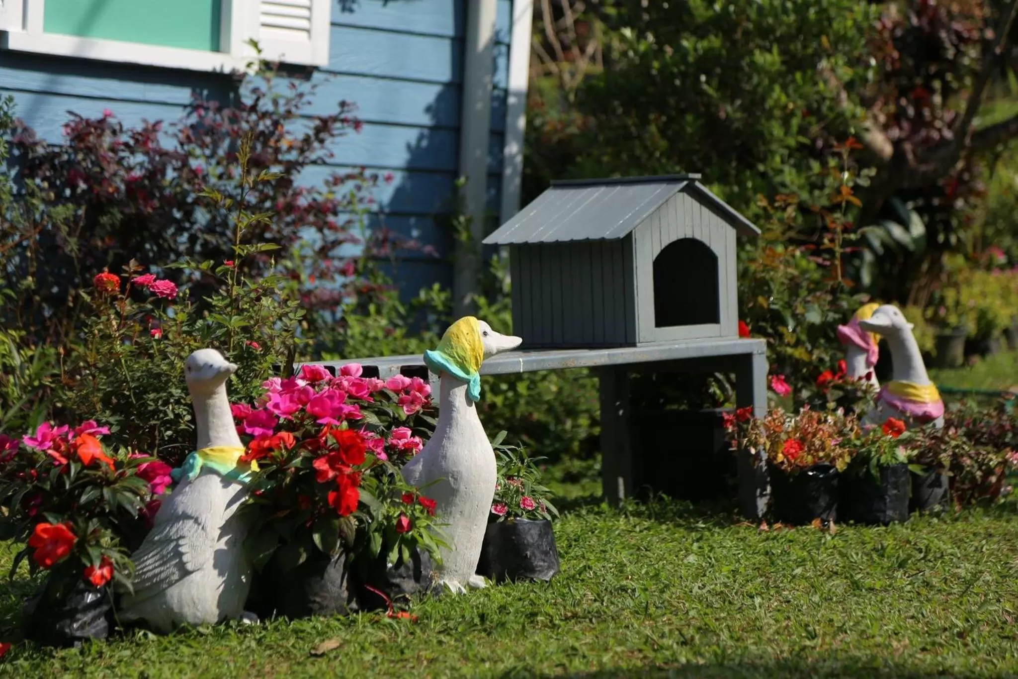 Baan JaoKorKluay บ้านเจ้ากอกล้วย