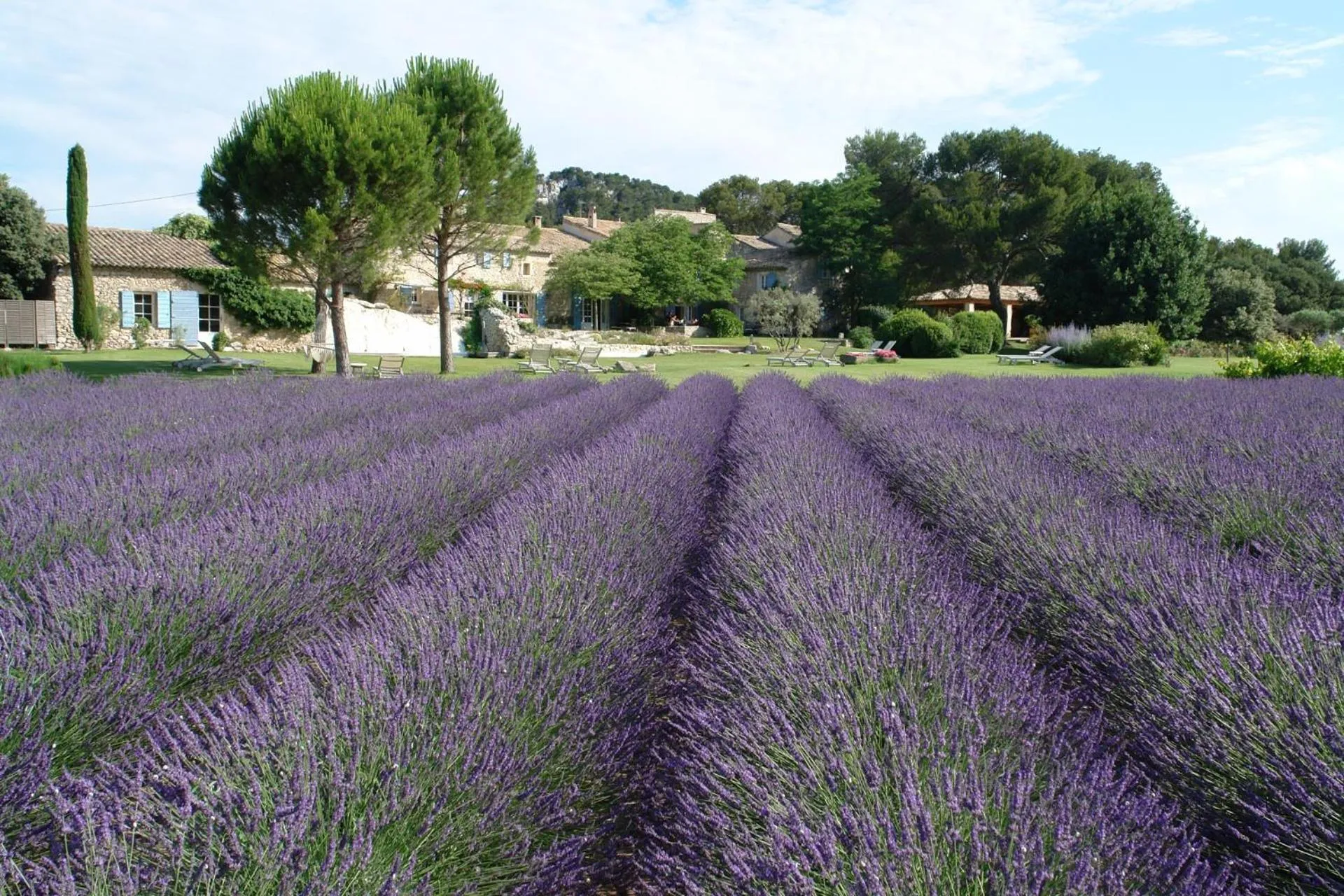 Garden in Le Mas De La Rose - Teritoria