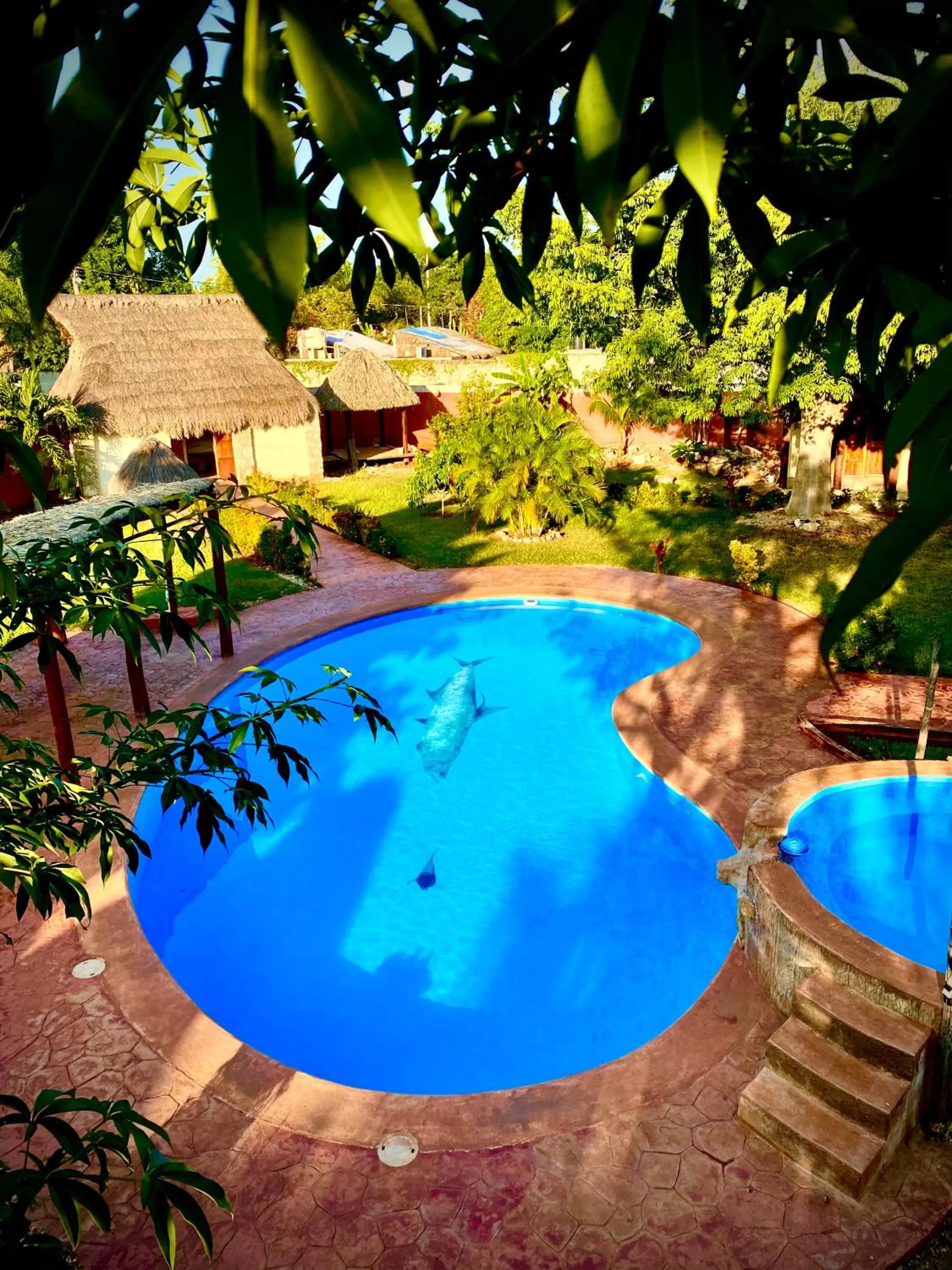 Pool view in Mangrove King Fishing Lodge