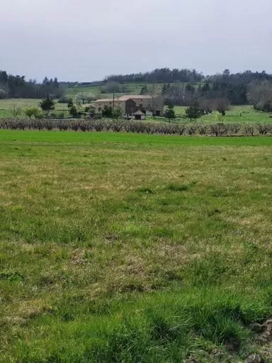 View (from property/room) in Ferme de la Combe