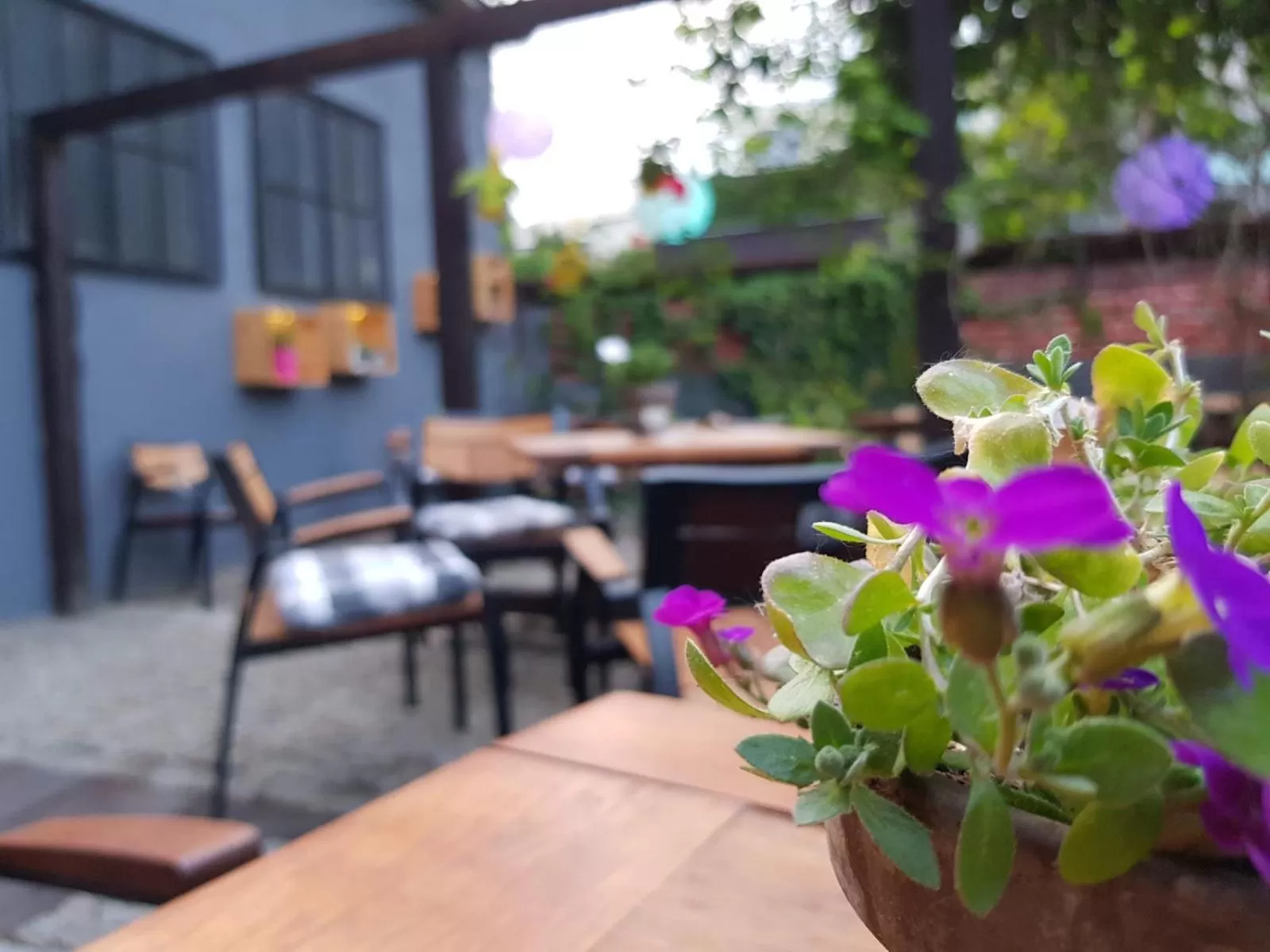 Garden in Hotel Zamkowy Młyn