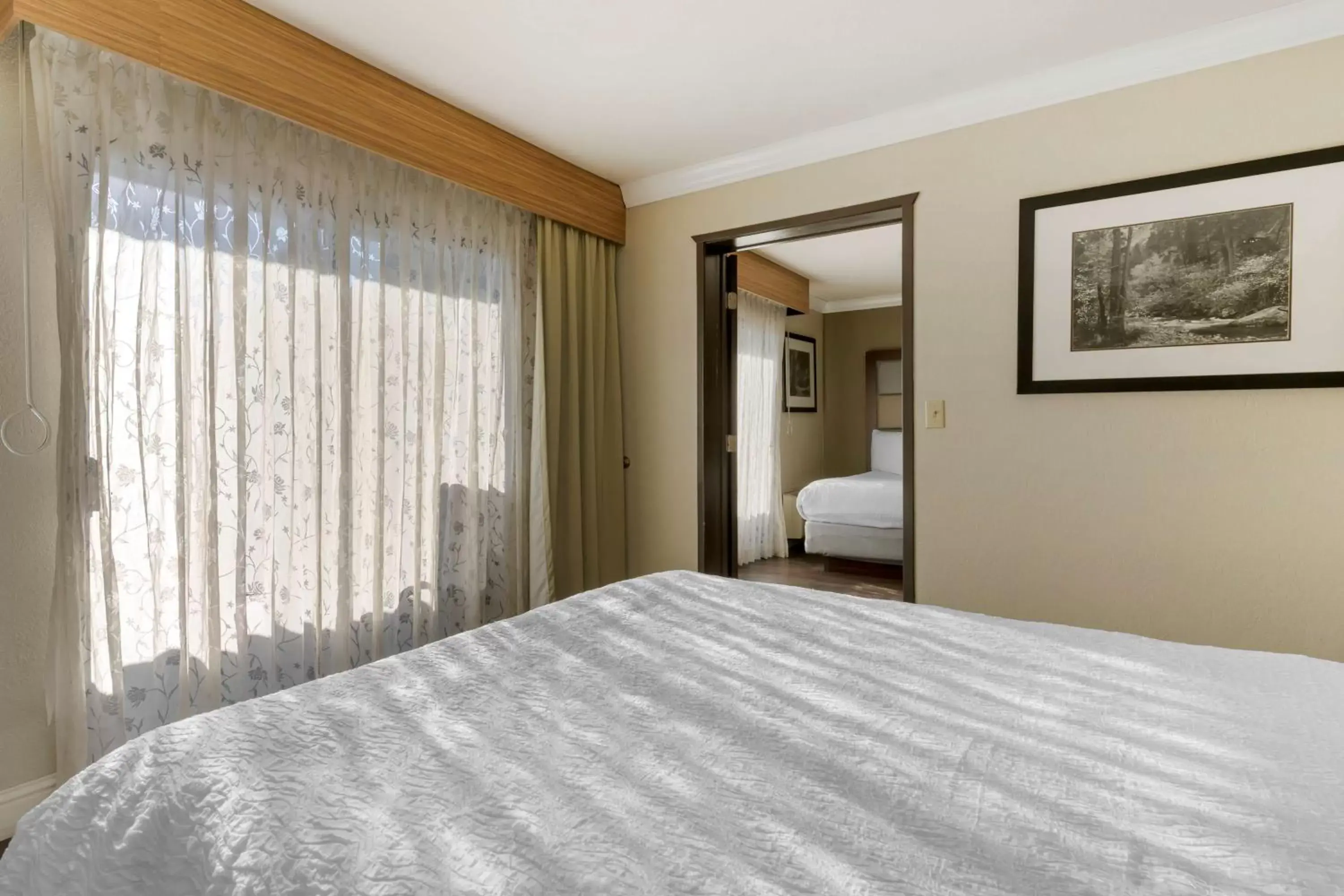 Family Suite in Best Western Plus Forest Park Inn Family Suite in Best Western Plus Forest Park Inn