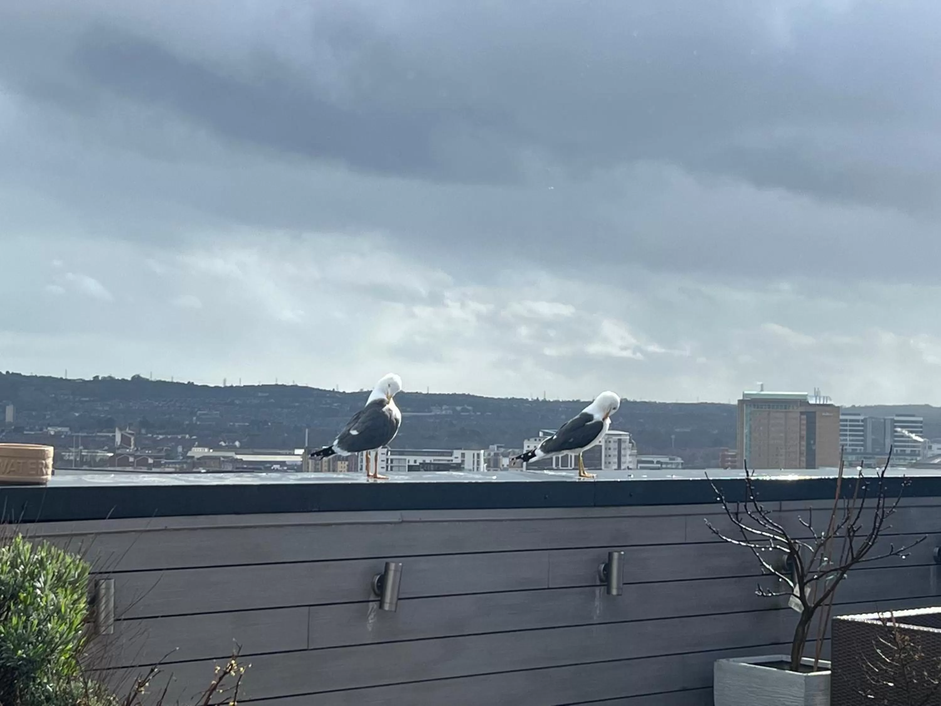 James Clow Bed & Breakfast