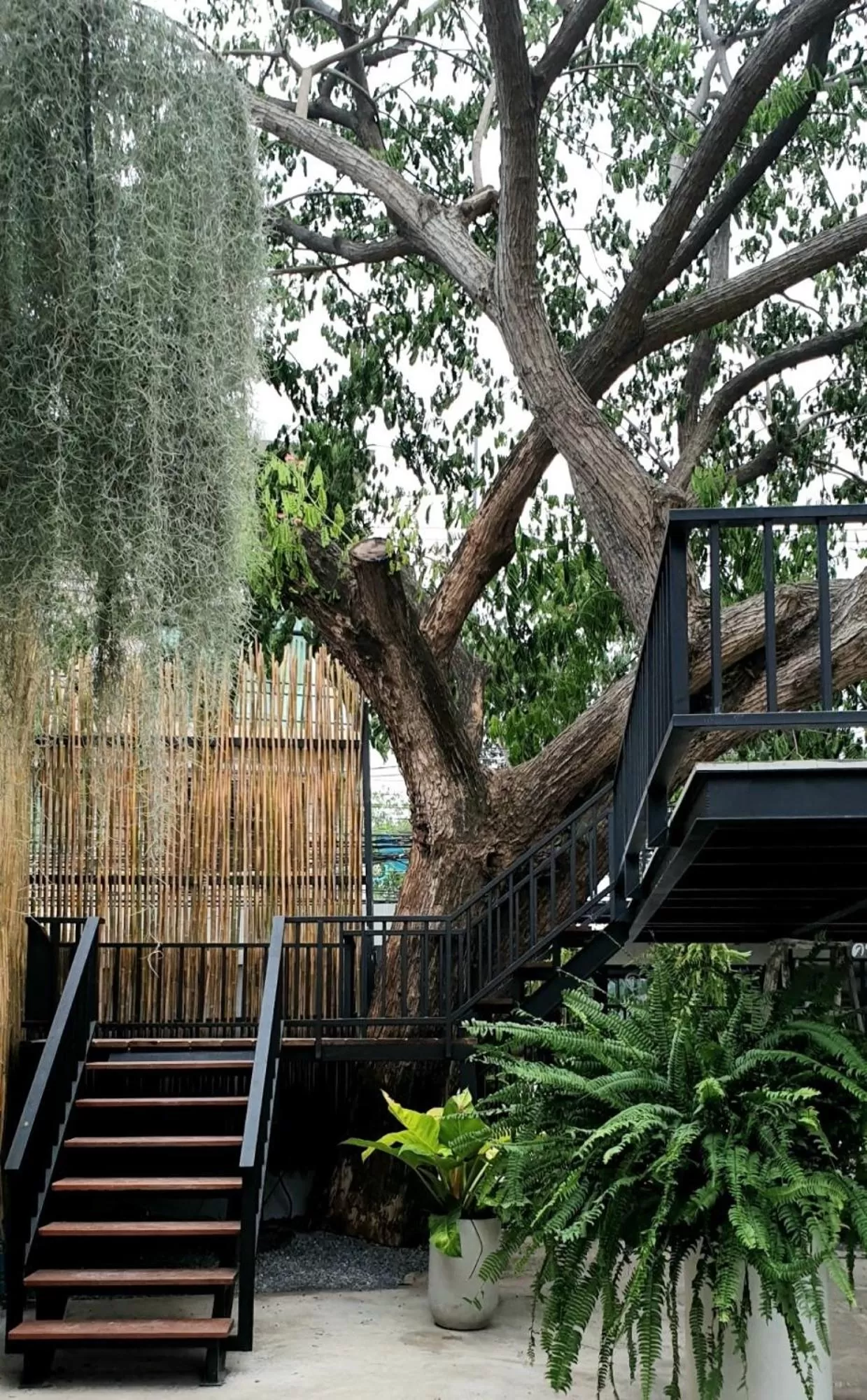 Property Building in Amara Resort Hua Hin