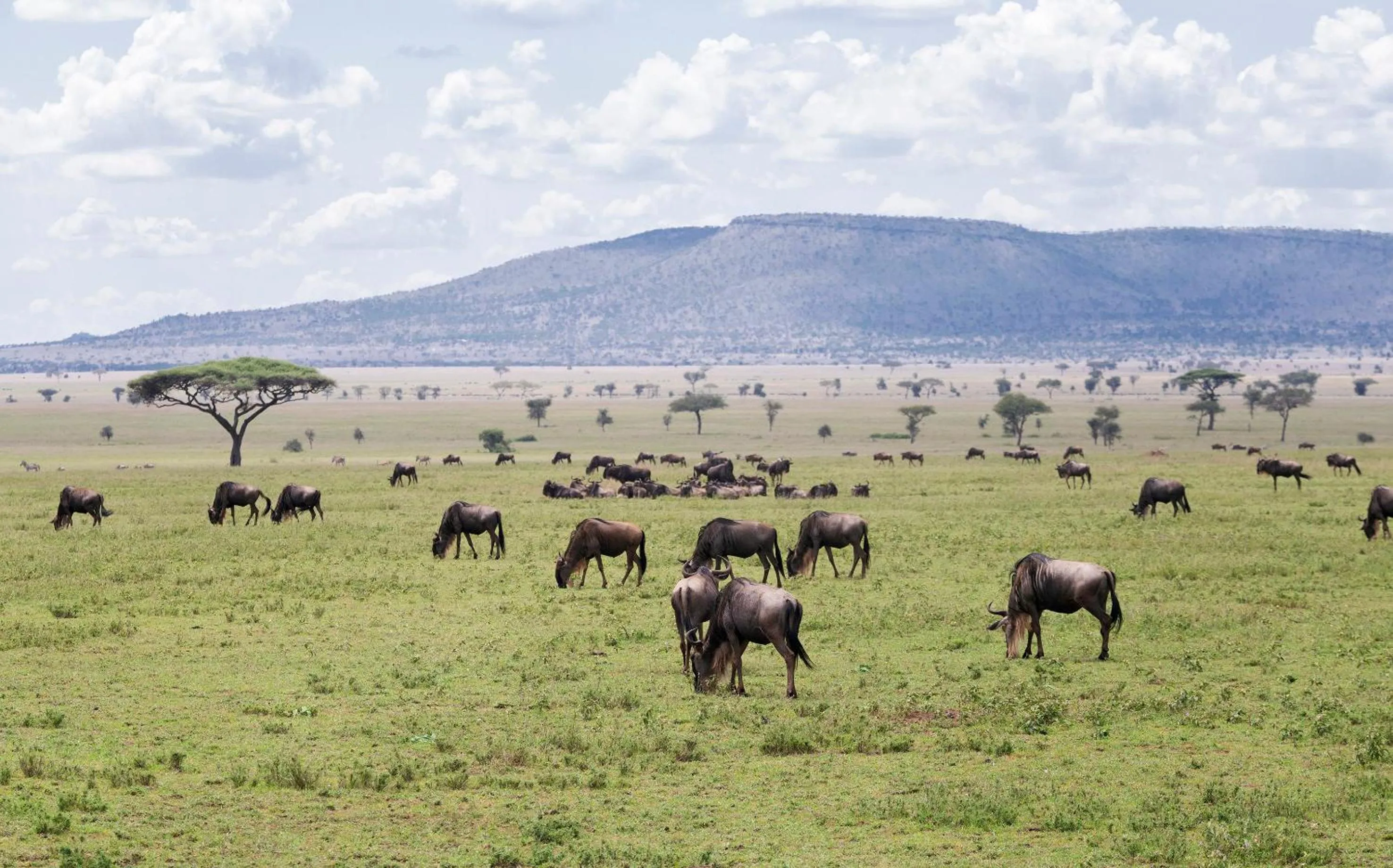 Activities in Ngorongoro Lodge member of Melia Collection - The Leading Hotels of the World