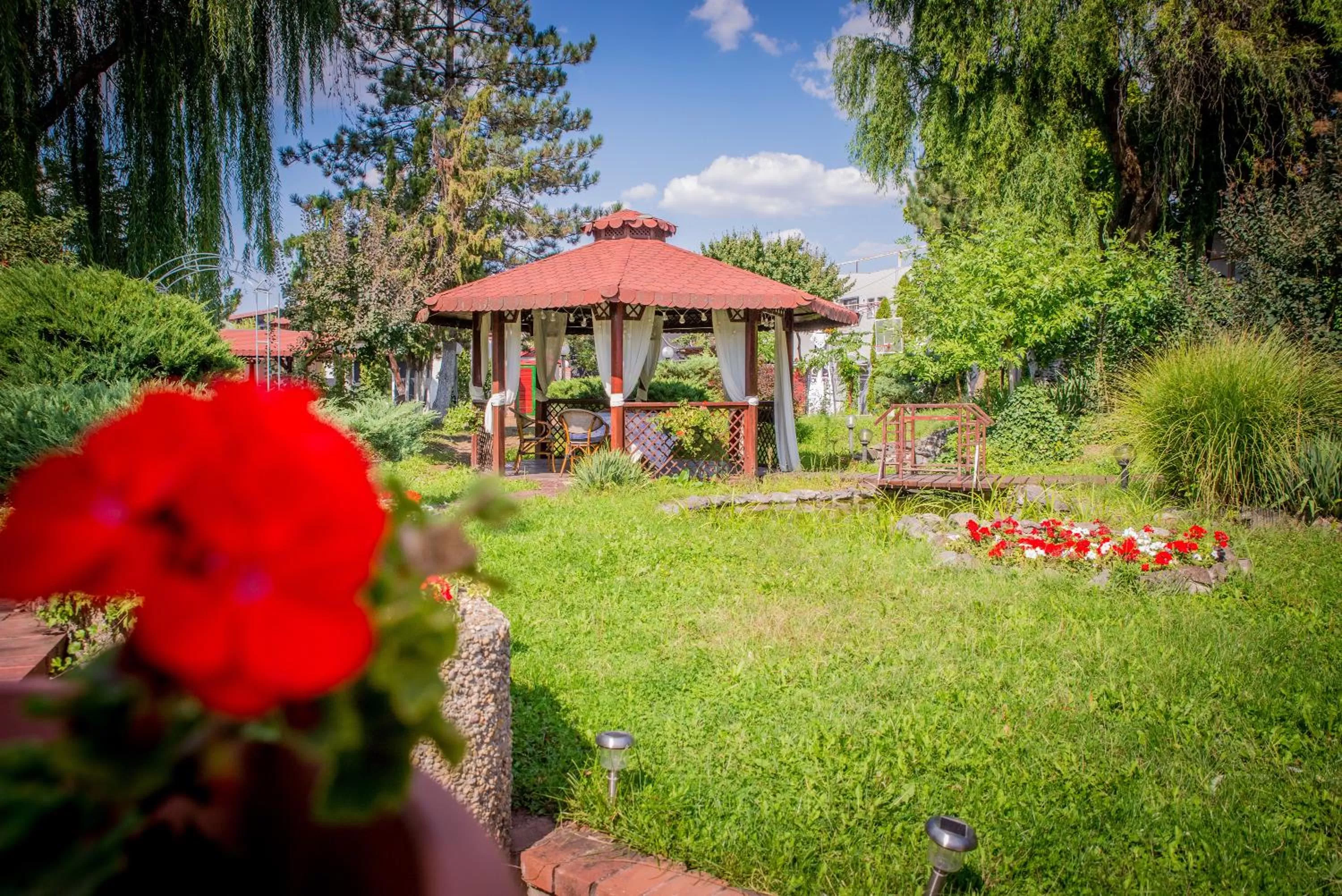 Garden in Hotel Senator