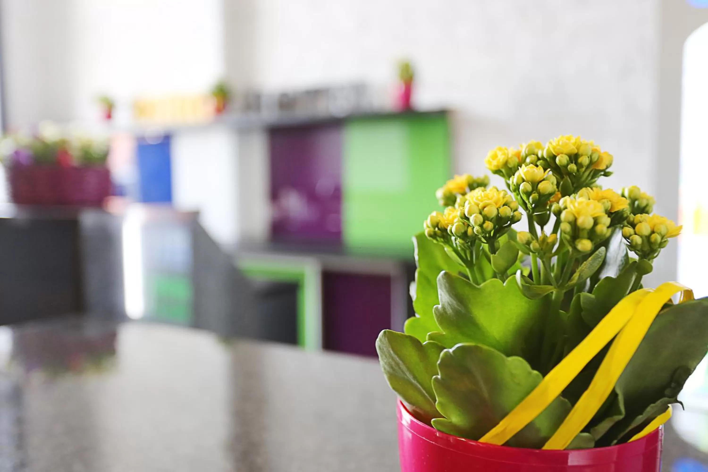 euroHOTEL Sosnowiec Kazimierz