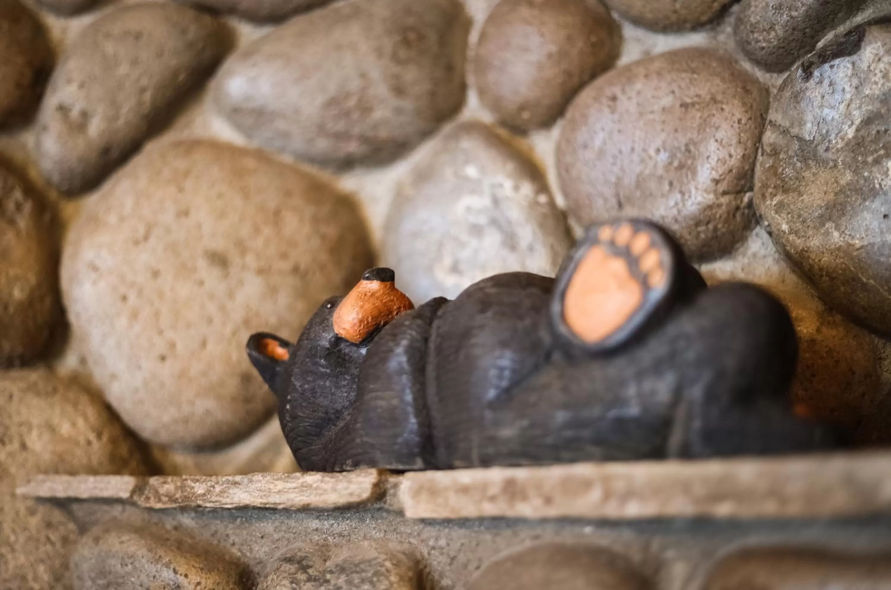 Heavenly Valley Lodge