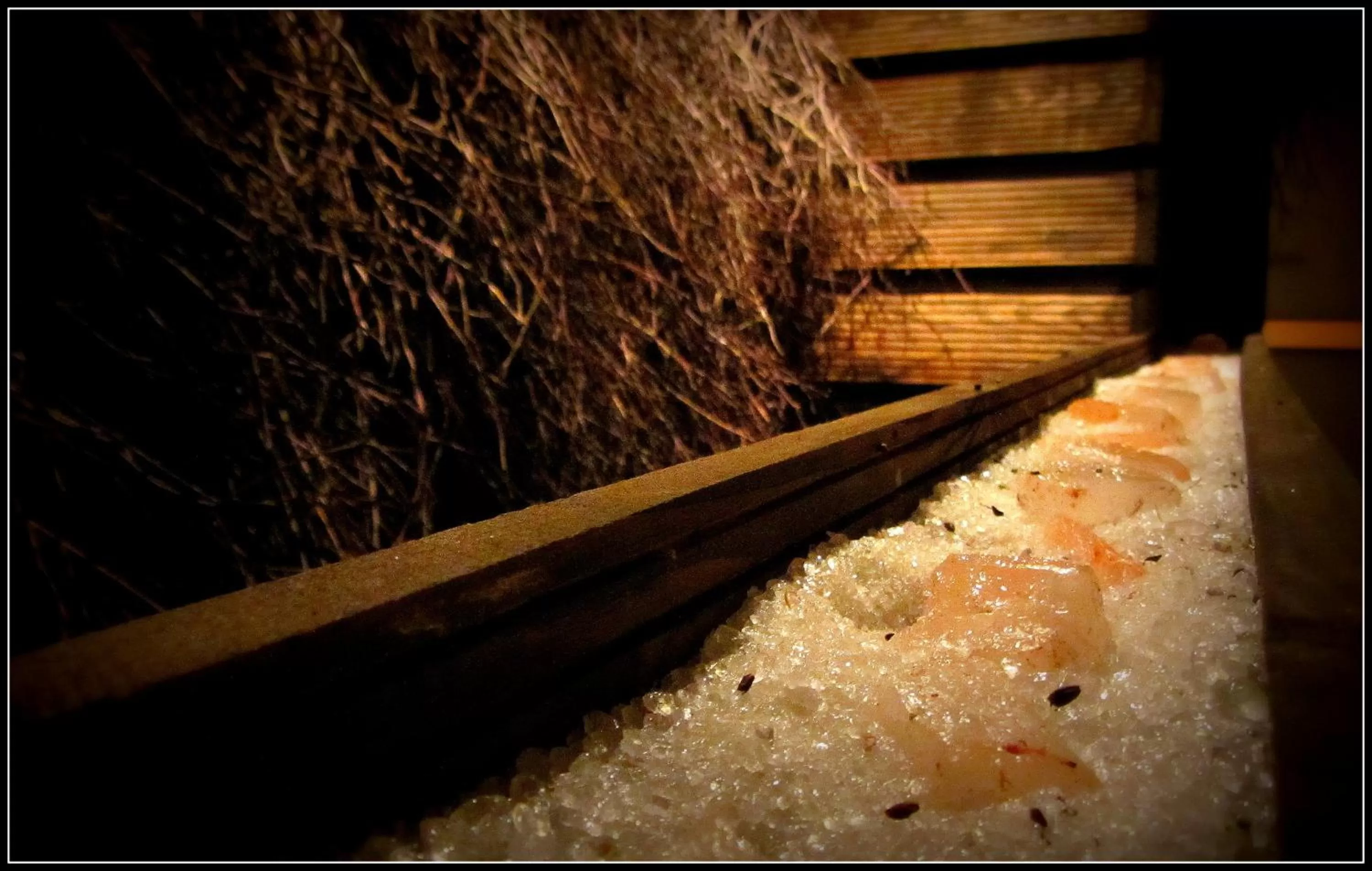 Spa and wellness centre/facilities in Hotel Forum Fitness Spa & Wellness