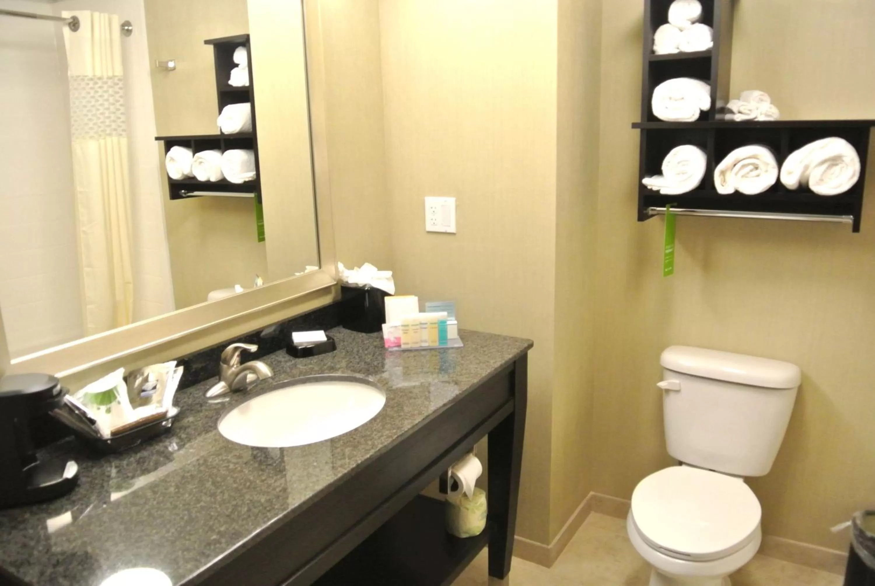Bathroom in Hampton Inn Carrizo Springs