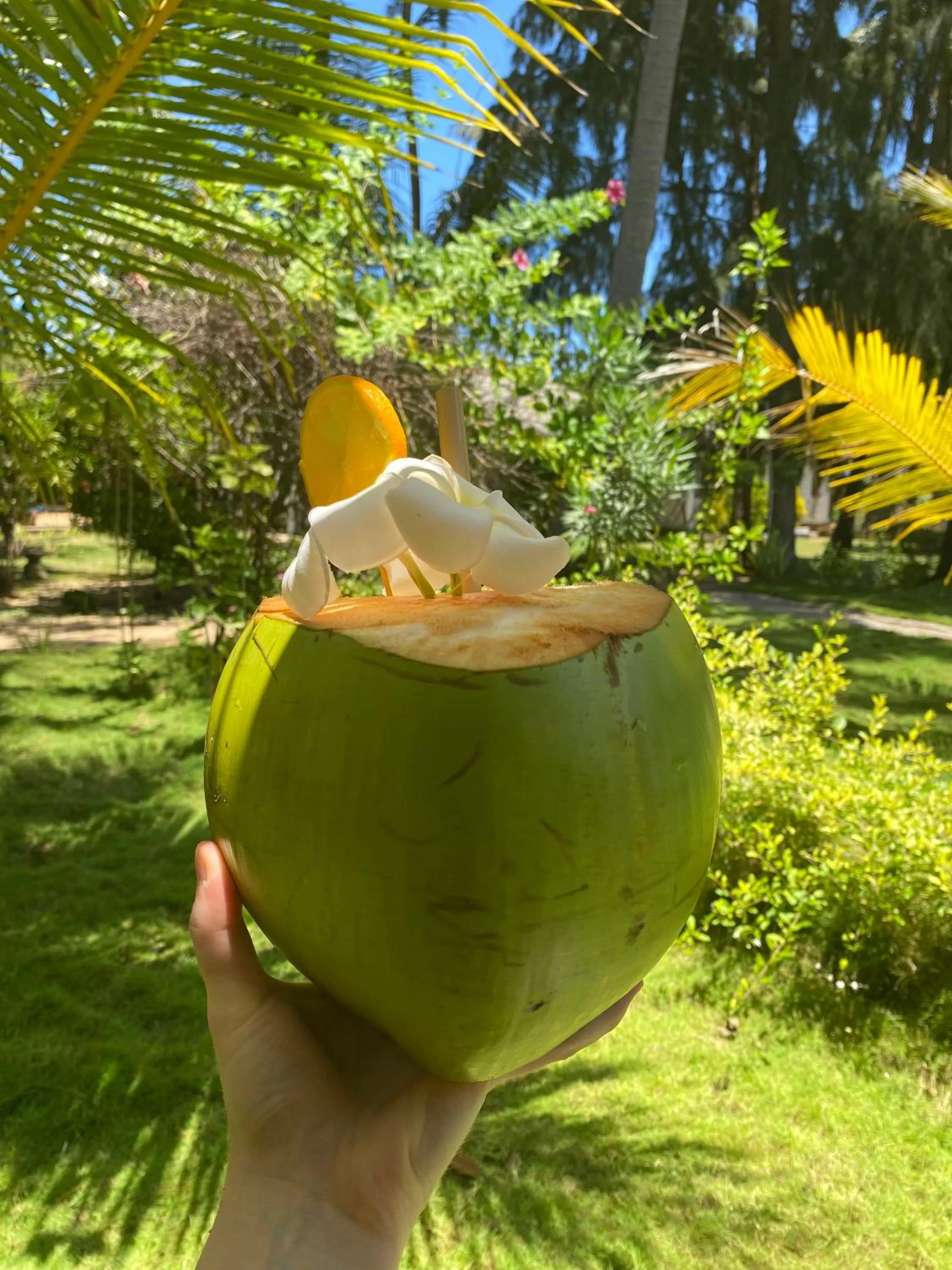 Garden in 108 Palms Beach Resort