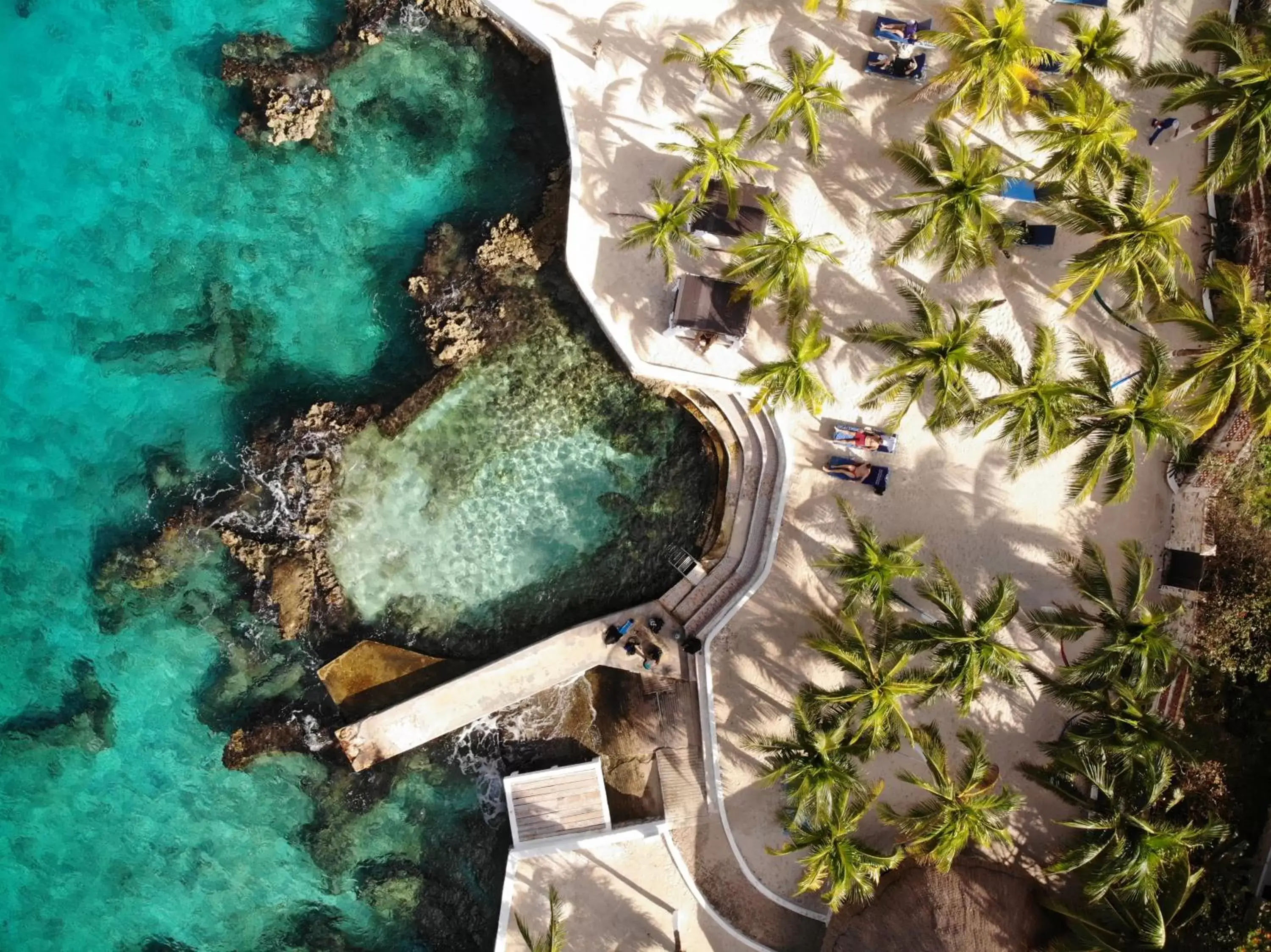 Cozumel Hotel & Resort Cozumel Hotel & Resort