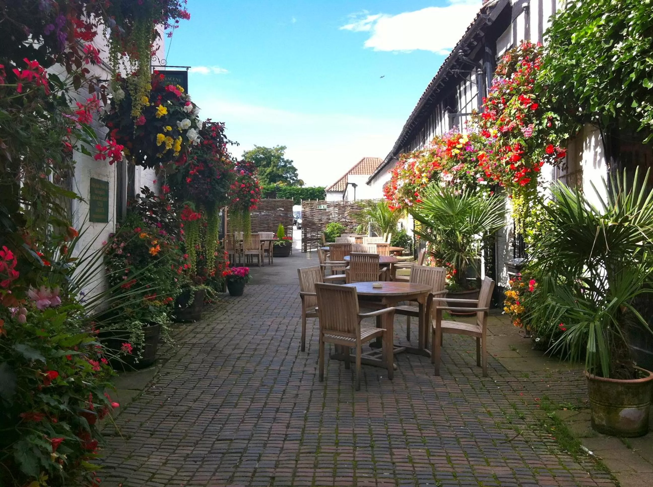 Garden in The Saracens Head Hotel