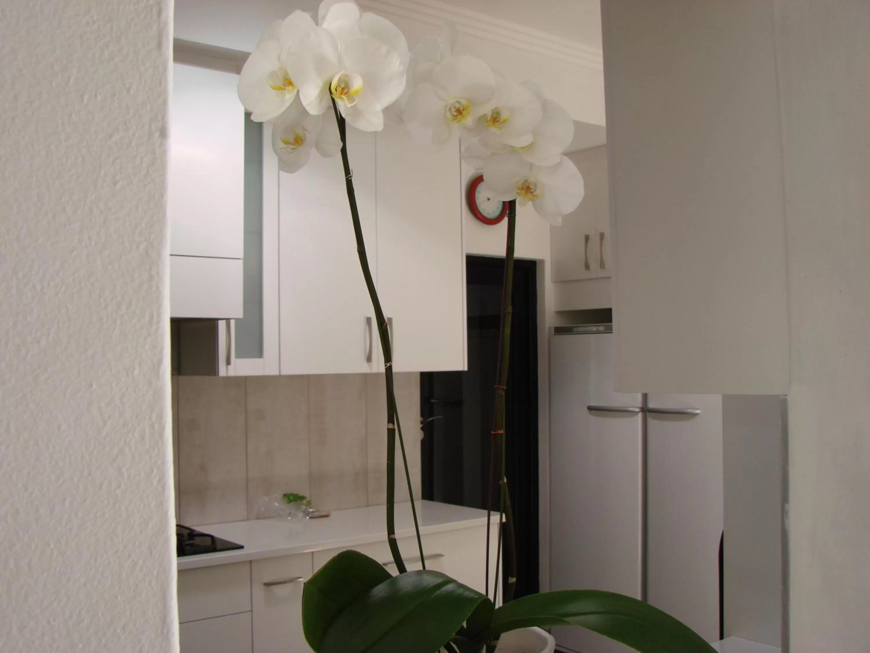 Dining area in Jedidja Bed and Breakfast